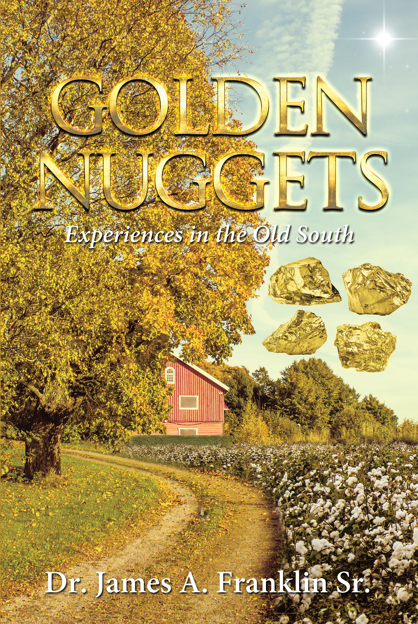 Golden Nuggets Cover Image