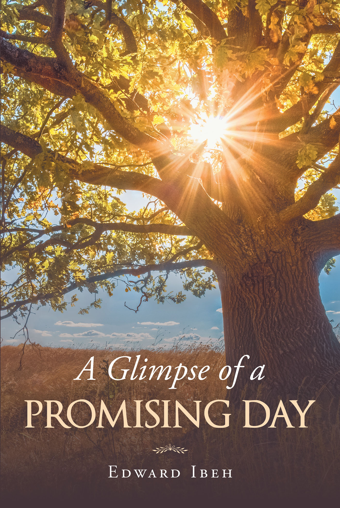 A Glimpse of a Promising Day Cover Image