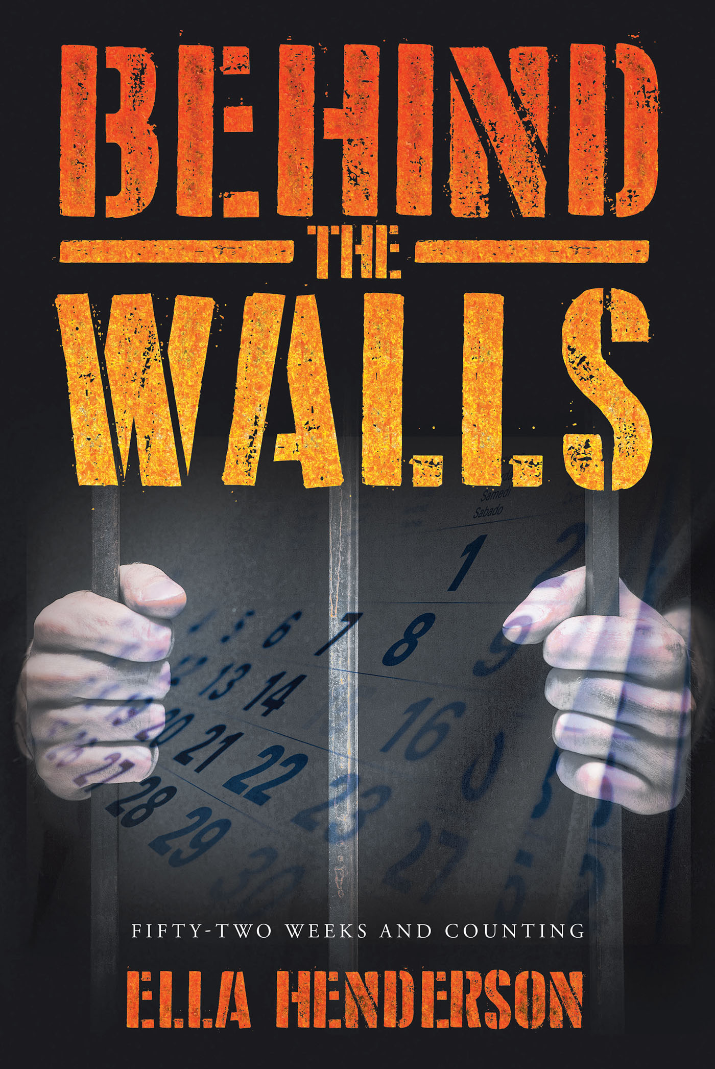 Behind the Walls Cover Image