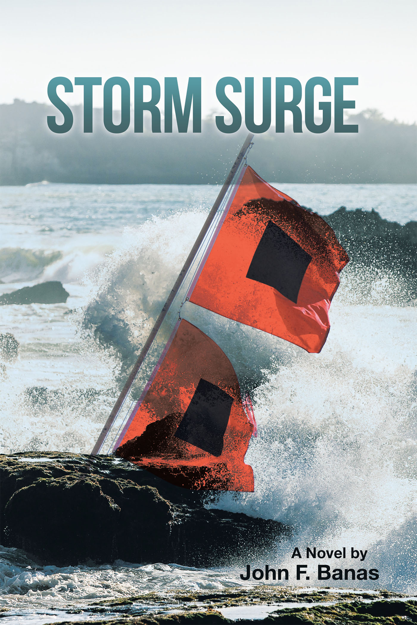 Storm Surge Cover Image