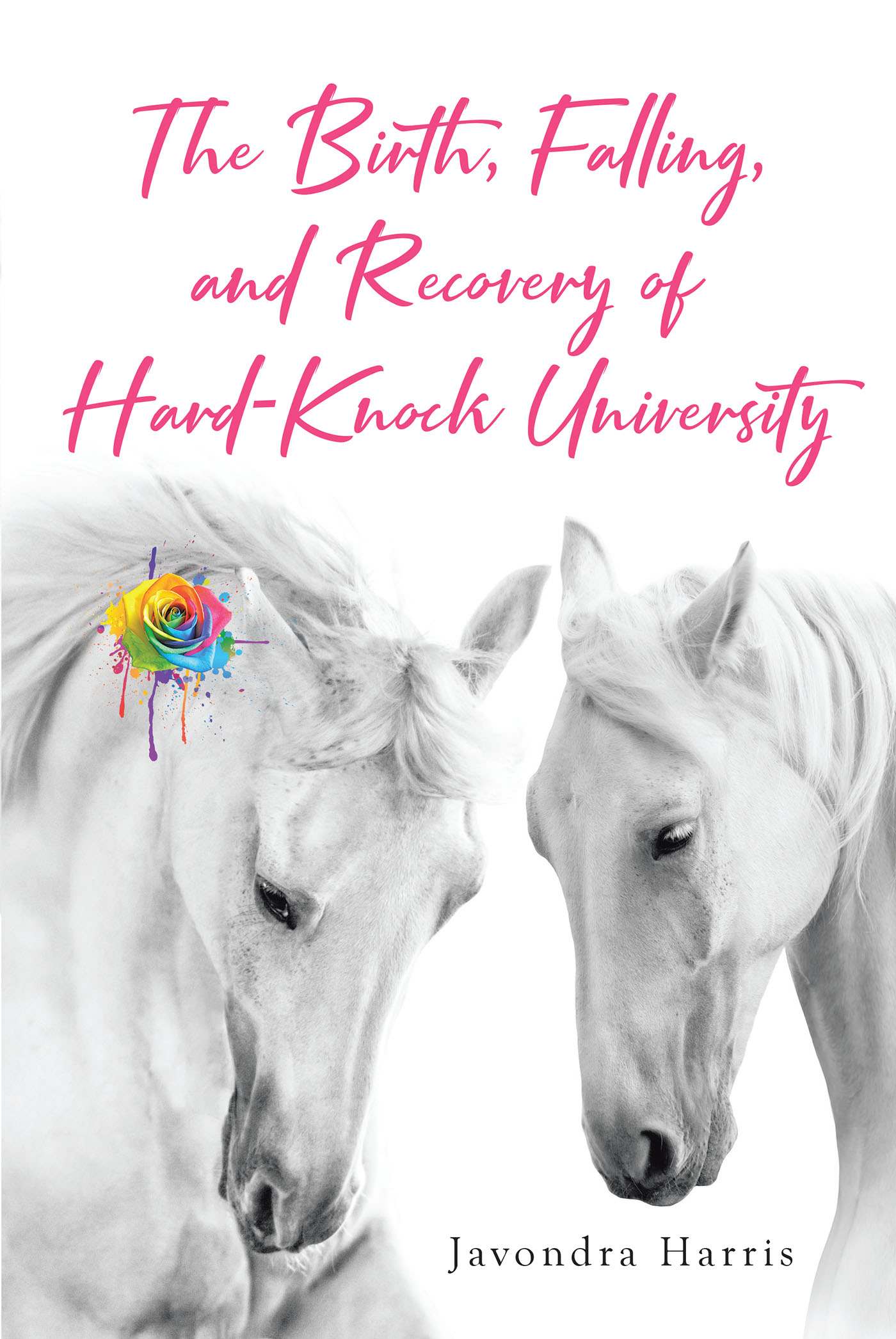 The Birth, Falling, and Recovery of Hard-Knock University Cover Image