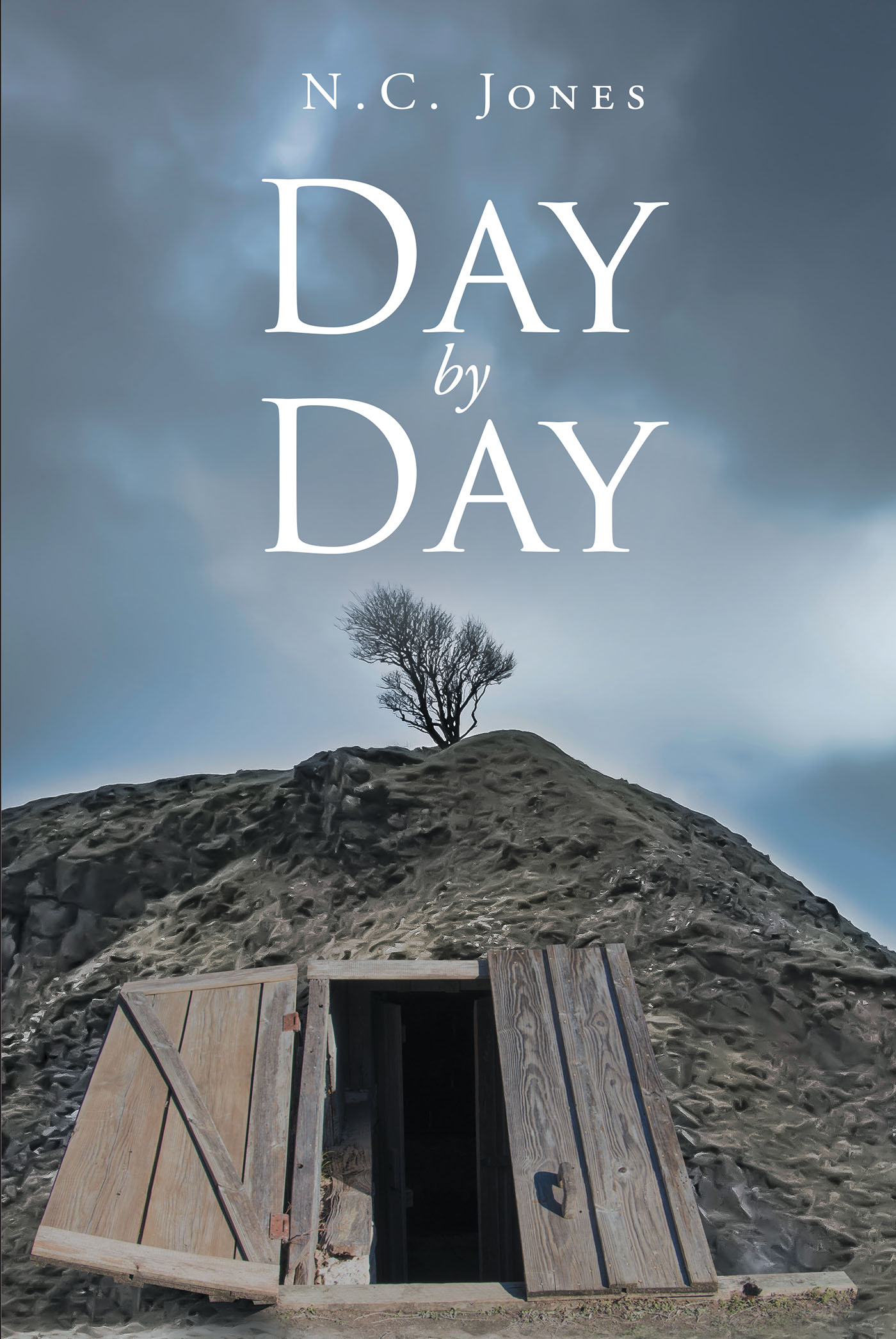 Day by Day Cover Image