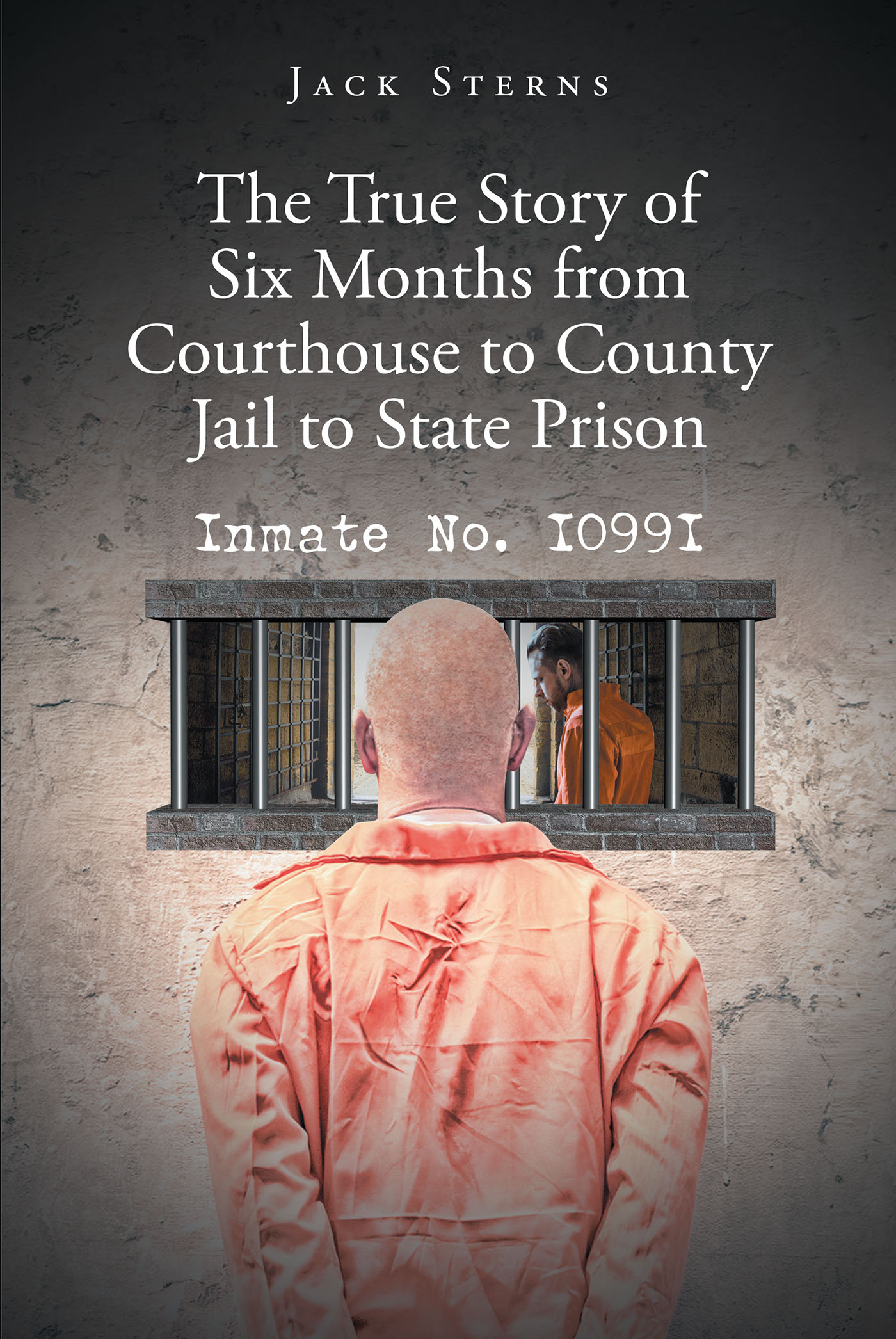The True Story of Six Months from Courthouse to County Jail to State Prison Cover Image
