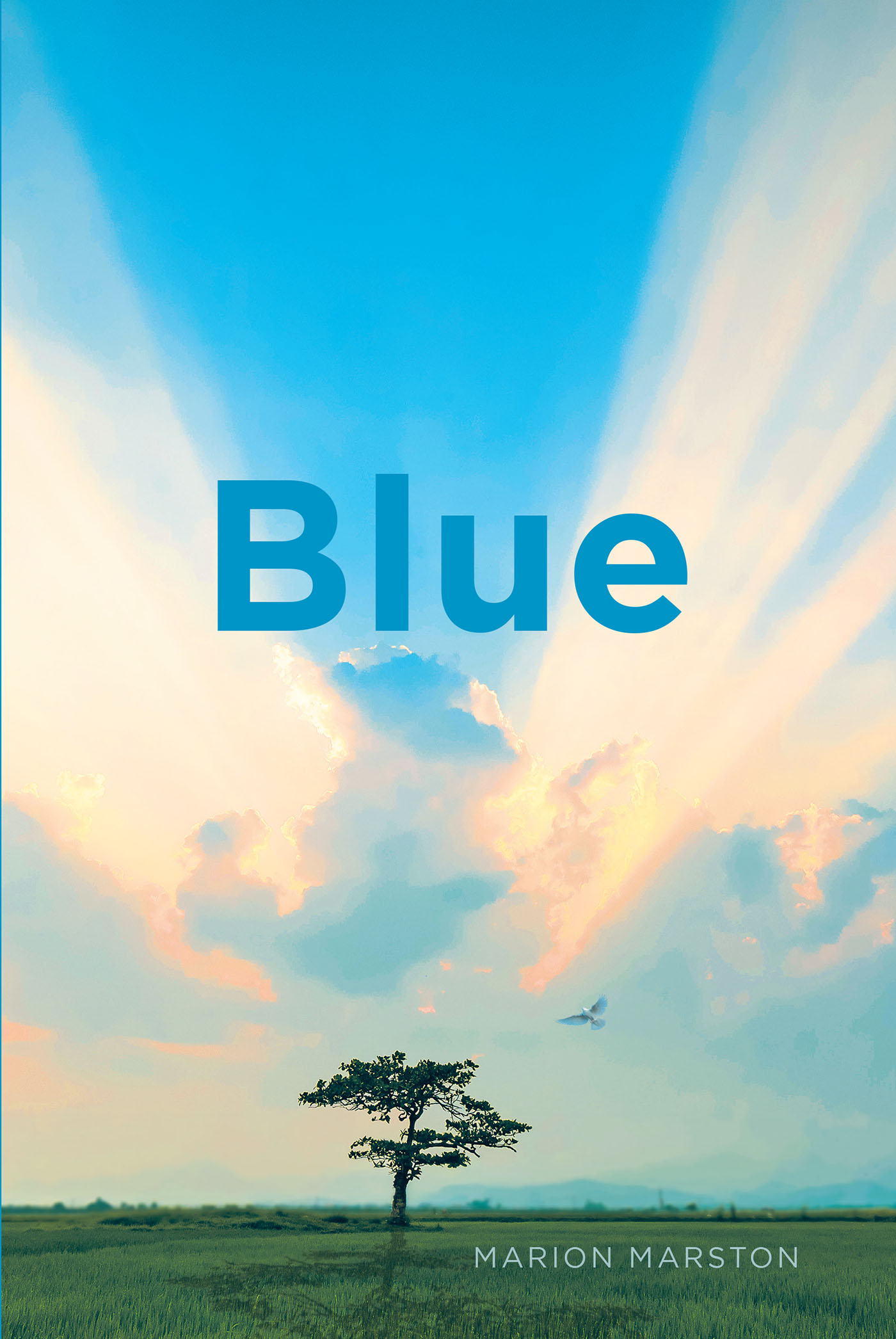 Blue Cover Image