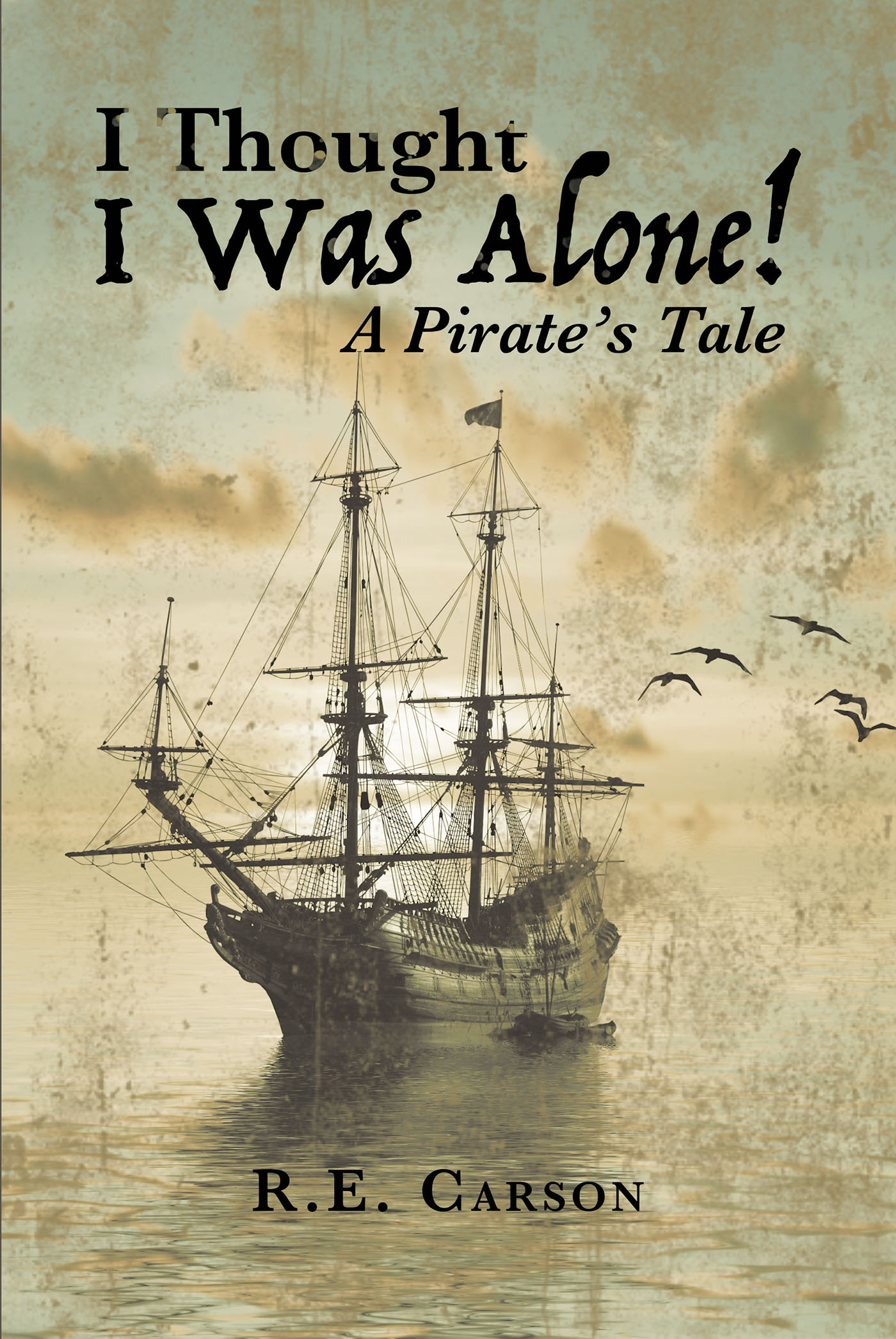 I Thought I was Alone! A Pirate's Tale Cover Image
