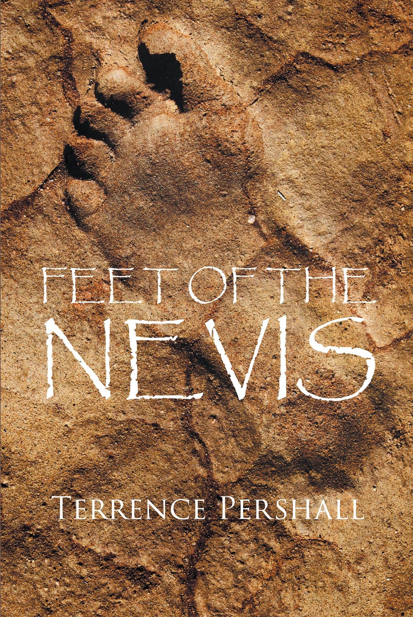 Feet of the Nevis Cover Image
