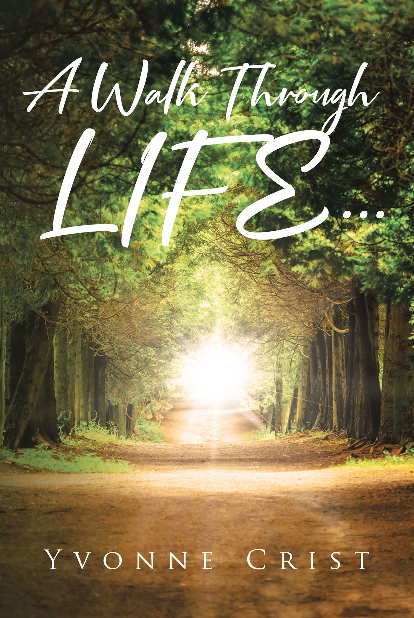 A Walk Through Life... Cover Image