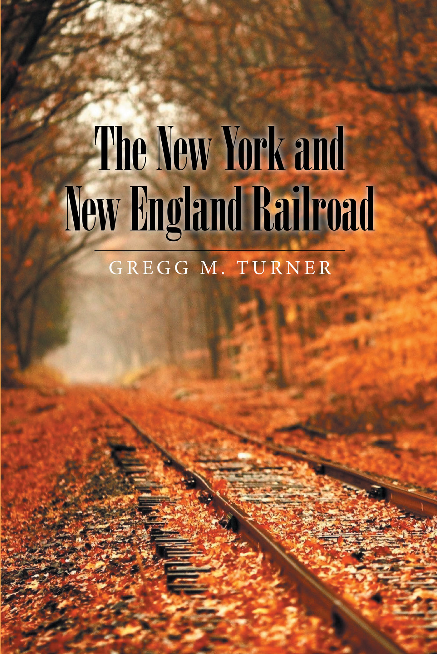 The New York and New England Railroad Cover Image