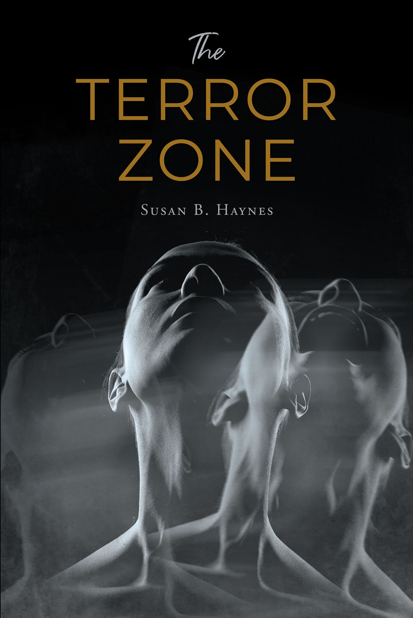 The Terror Zone Cover Image