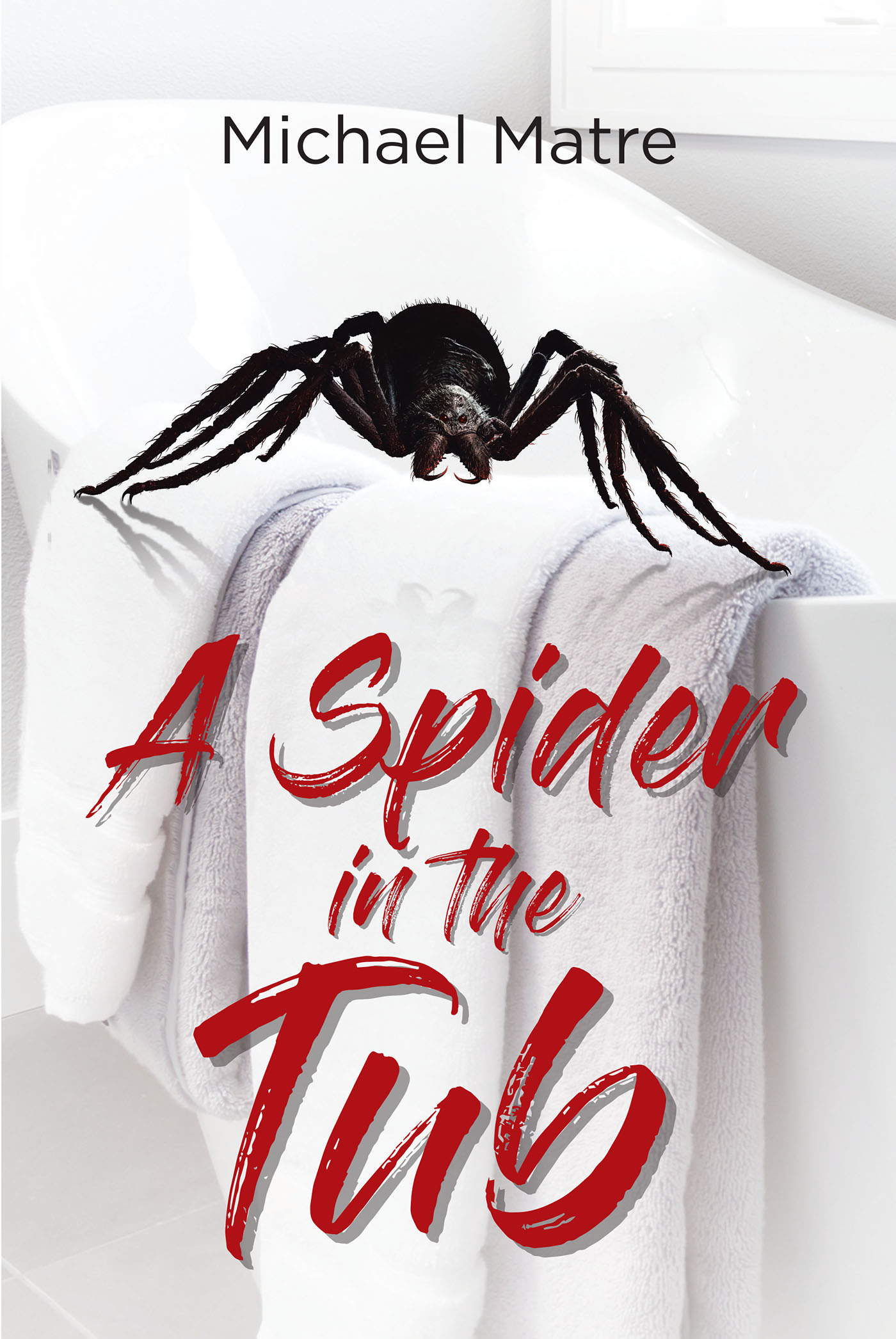 A Spider in the Tub Cover Image