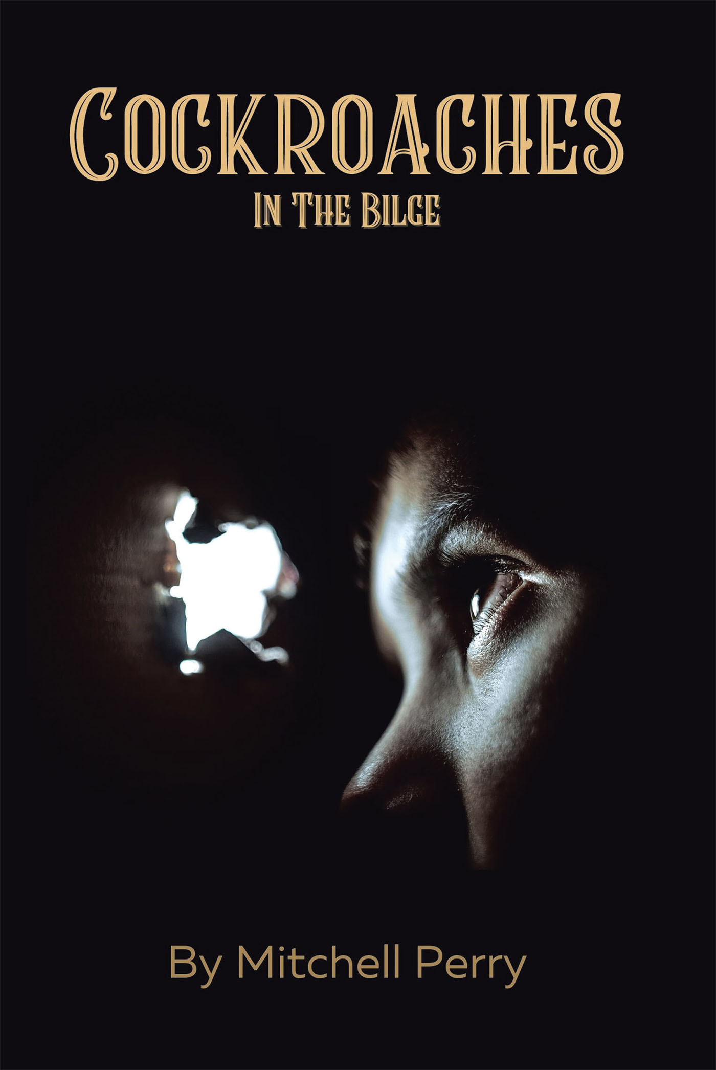 Cockroaches in the Bilge Cover Image