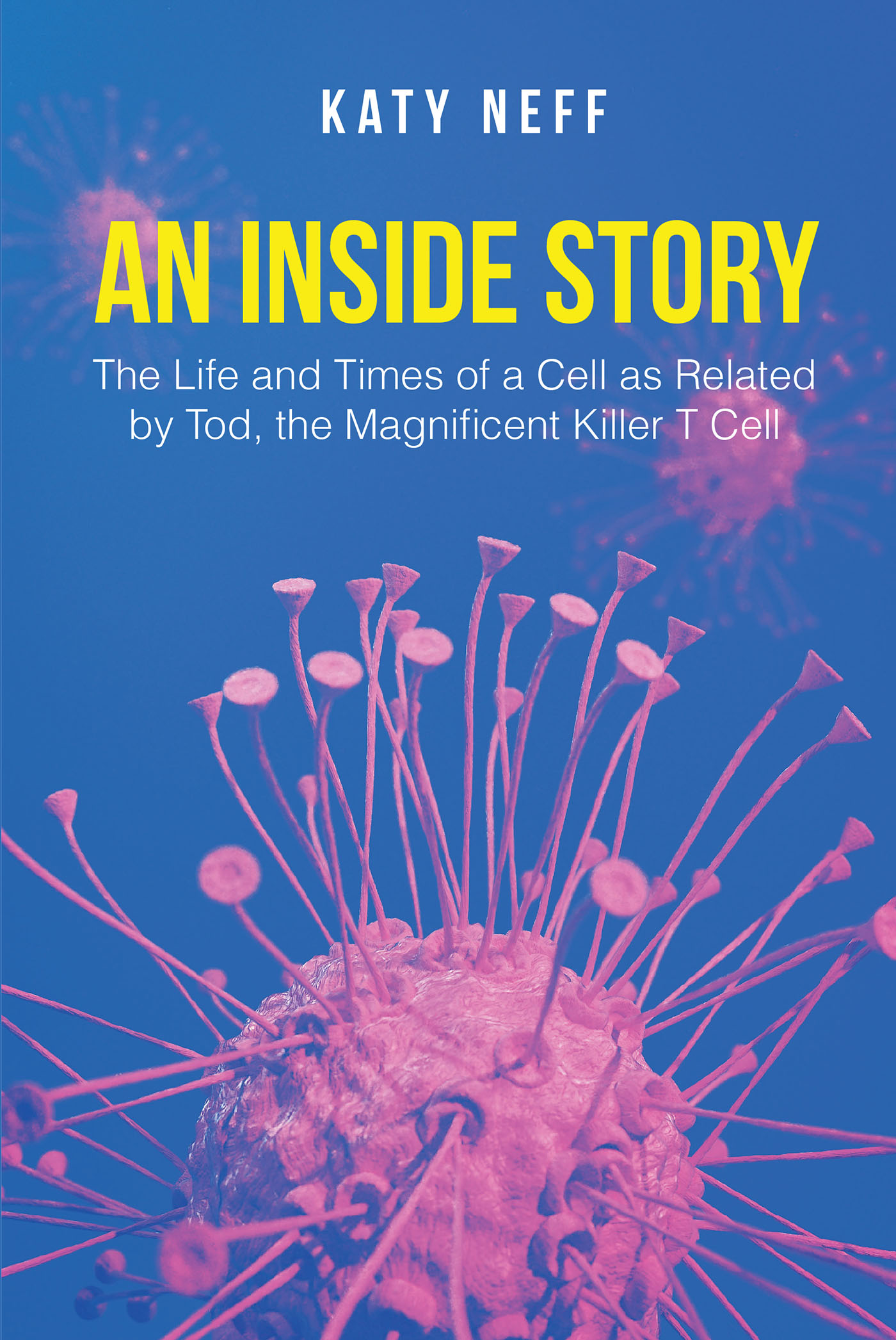 An Inside Story Cover Image