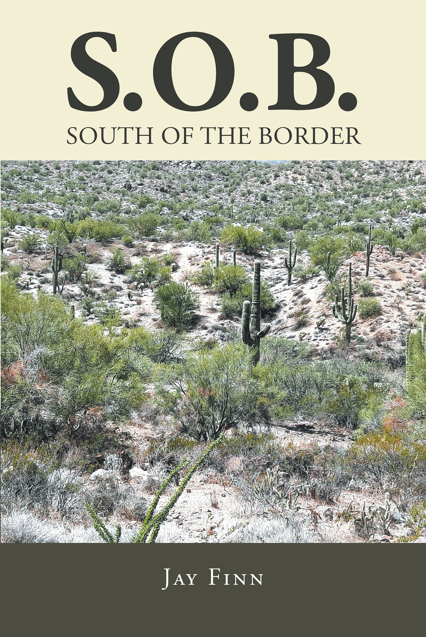 South of the Border  Cover Image