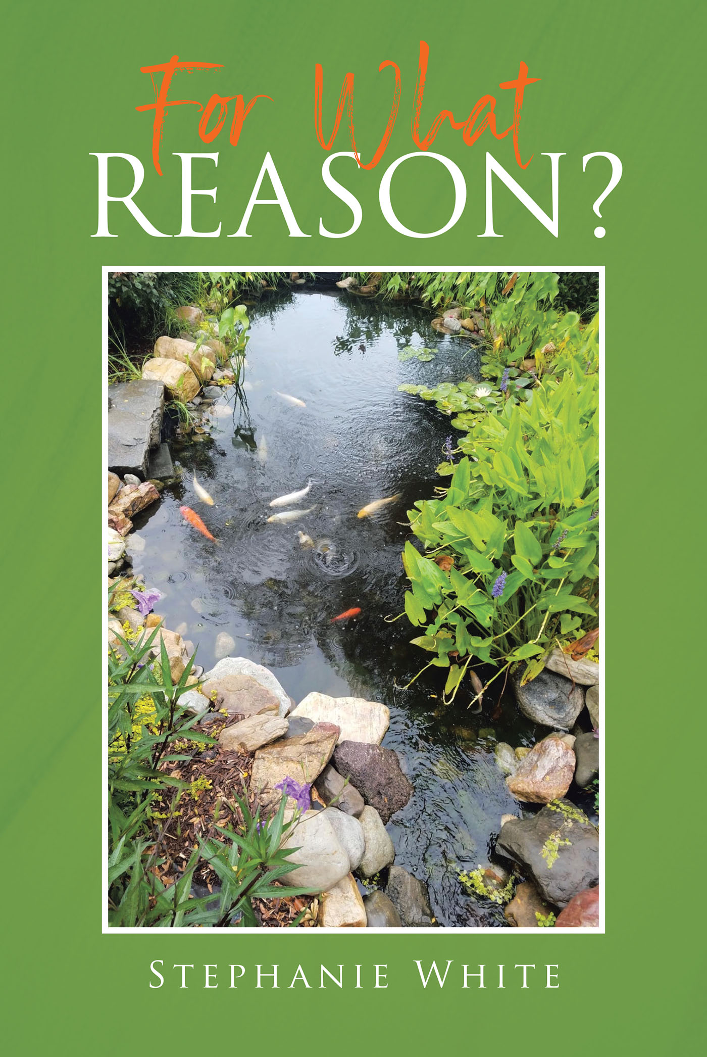 For What Reason? Cover Image