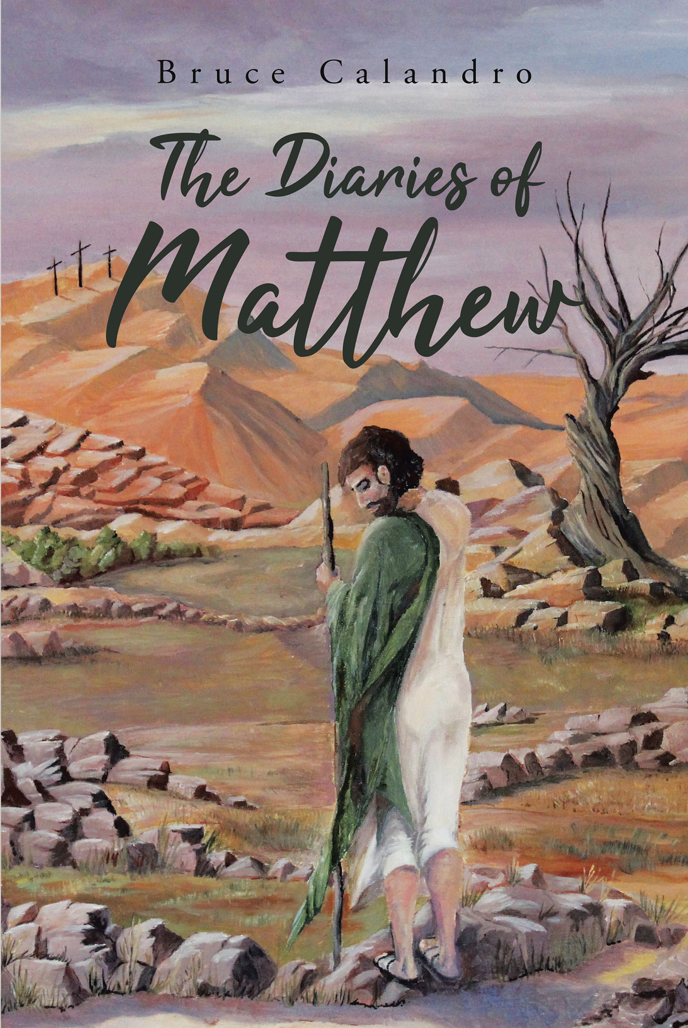 The Diaries of Matthew Cover Image