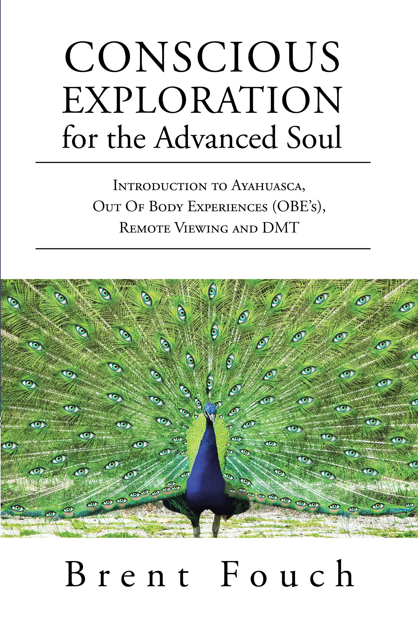Conscious Exploration for the Advanced Soul Cover Image