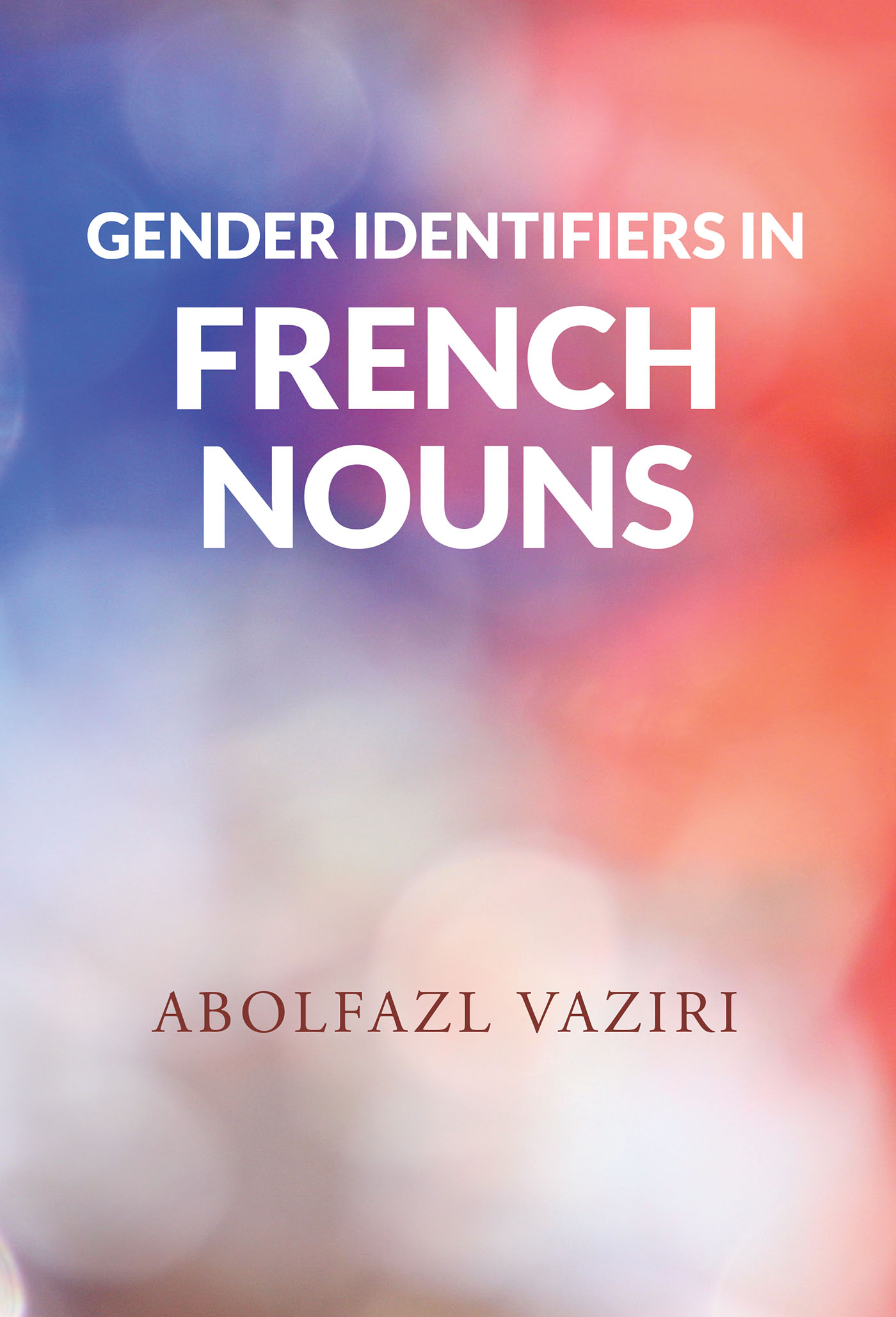 Gender Identifiers in French Nouns Cover Image