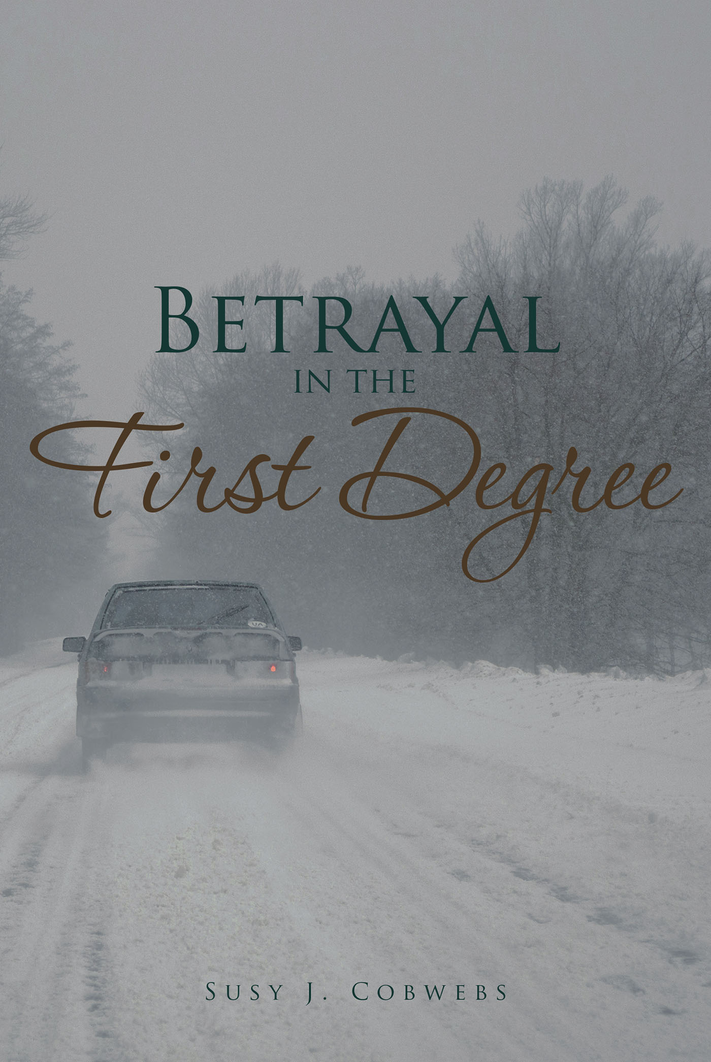 Betrayal in the First Degree Cover Image