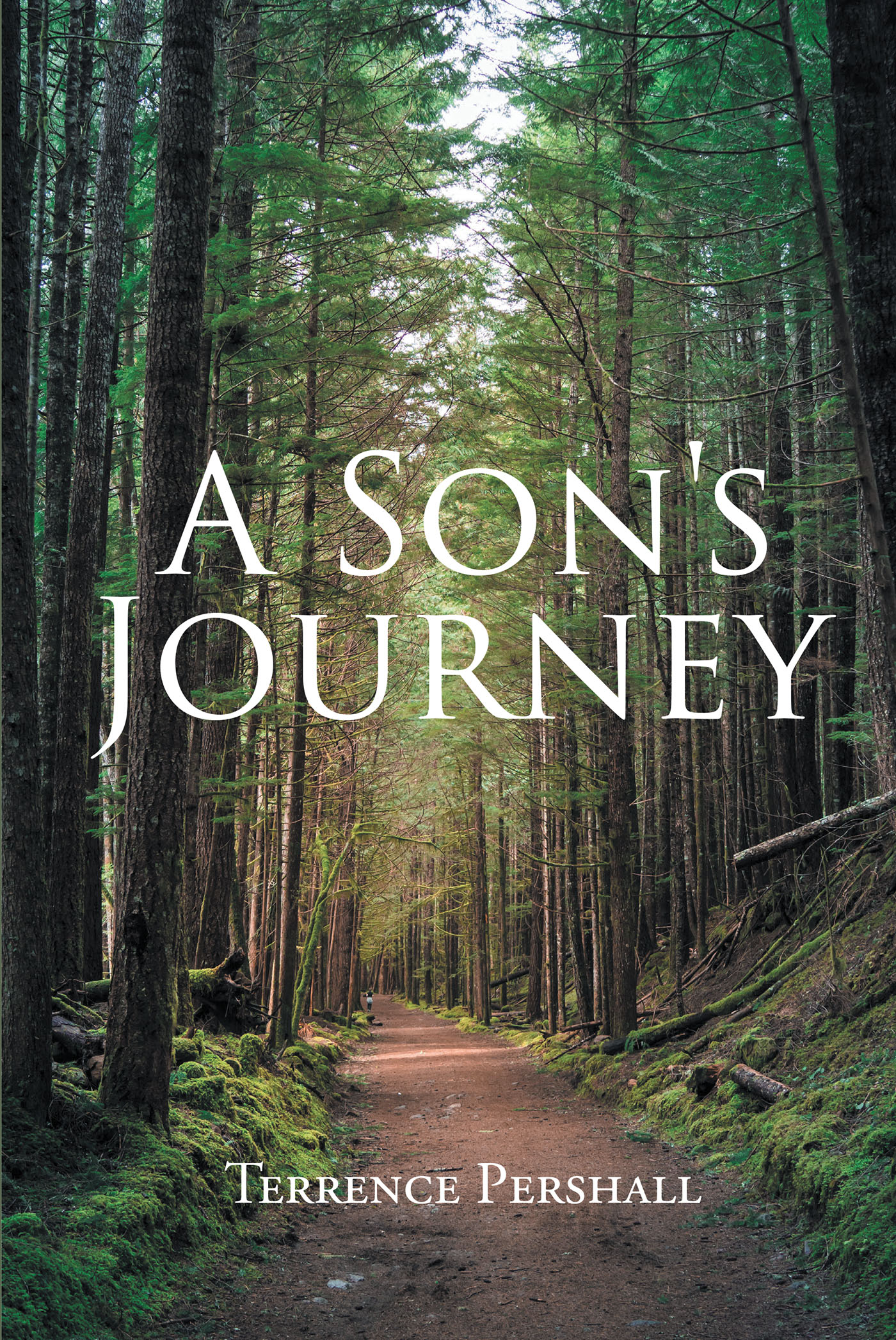 A Son's Journey Cover Image