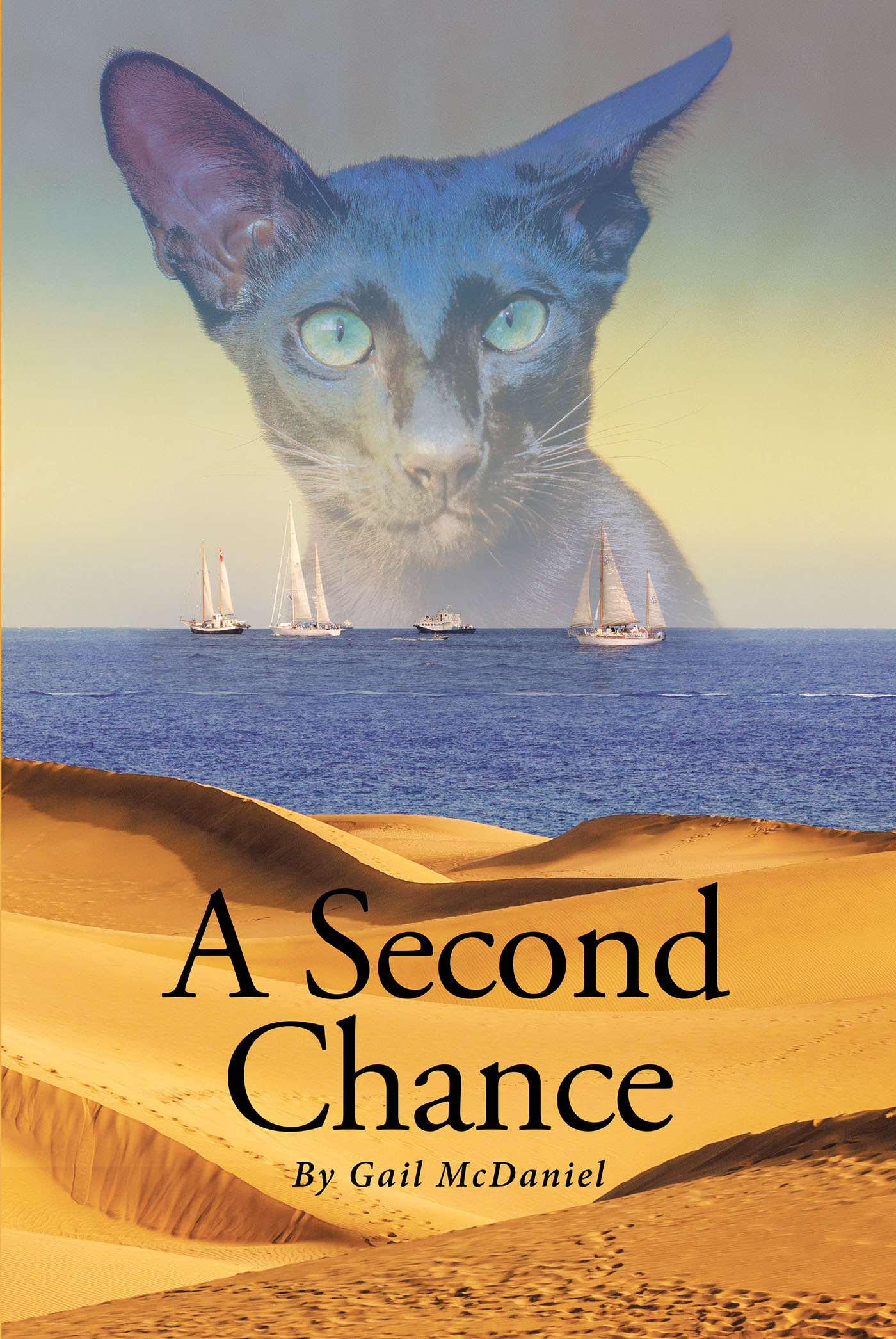A Second Chance Cover Image