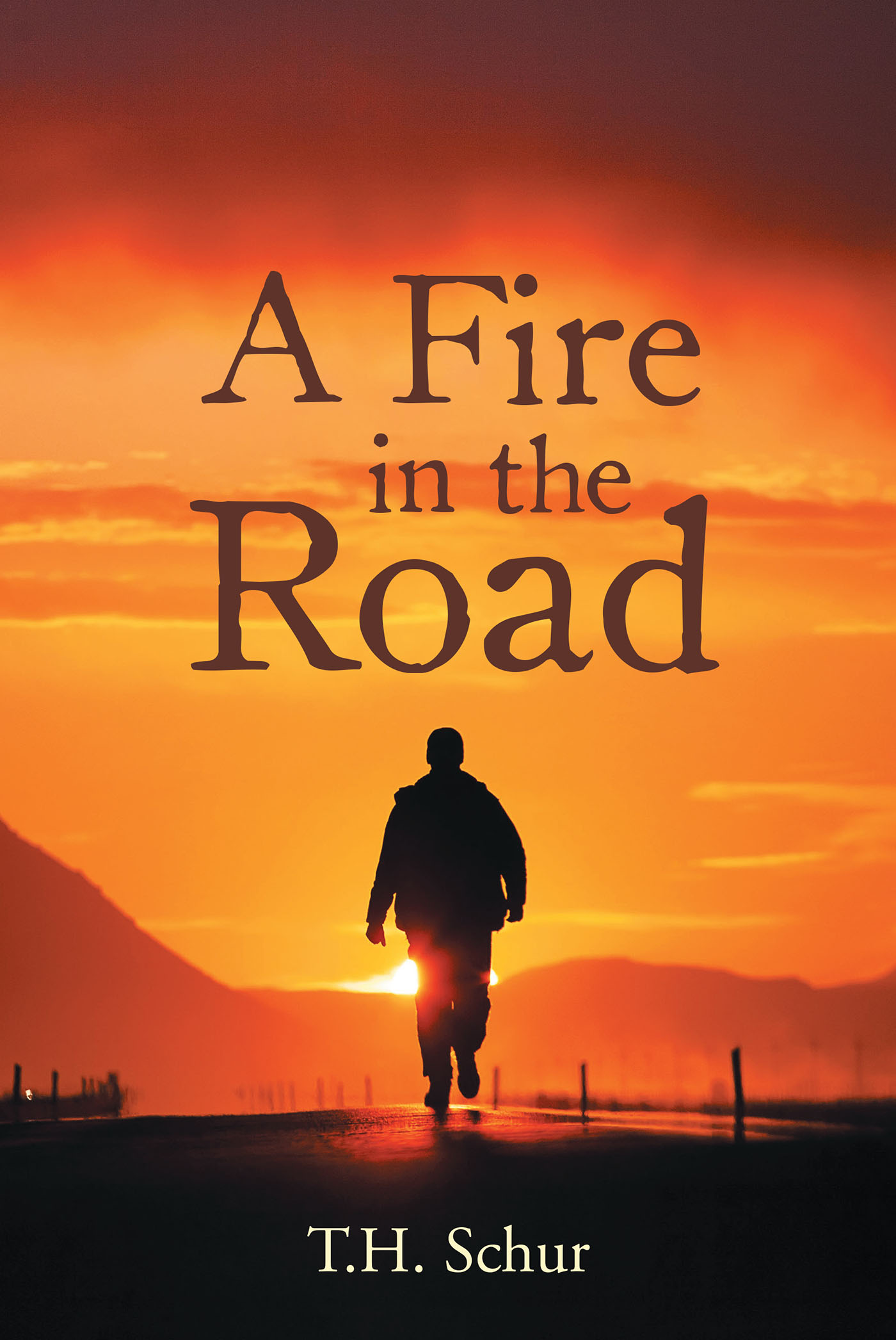A Fire in the Road Cover Image