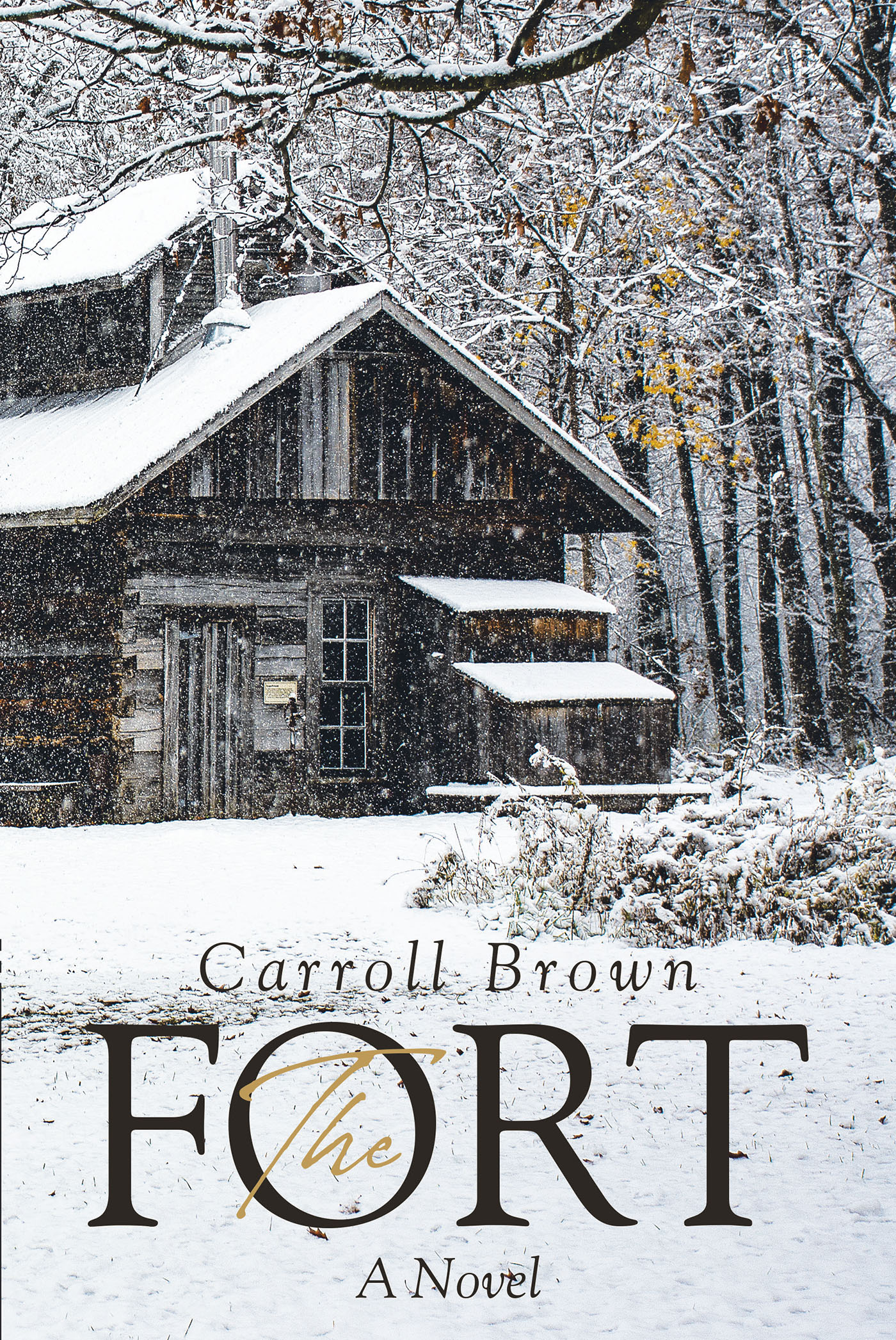 The Fort Cover Image