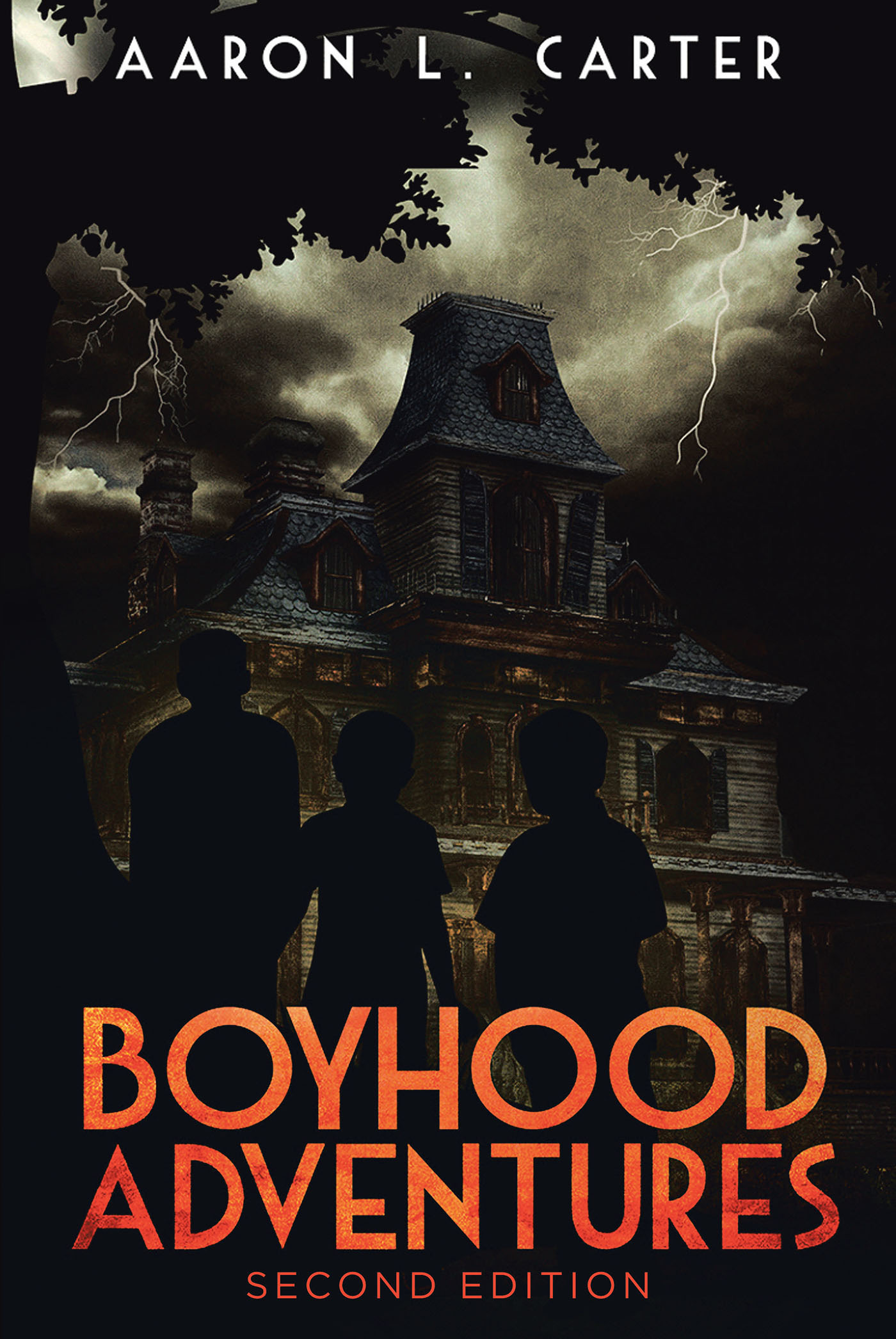 Boyhood Adventures  Cover Image