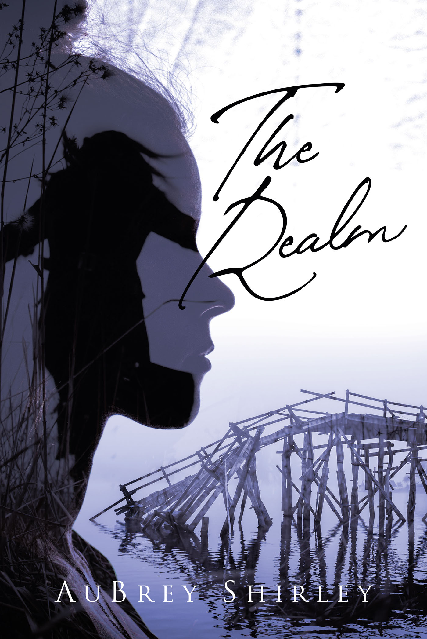 The Realm Cover Image