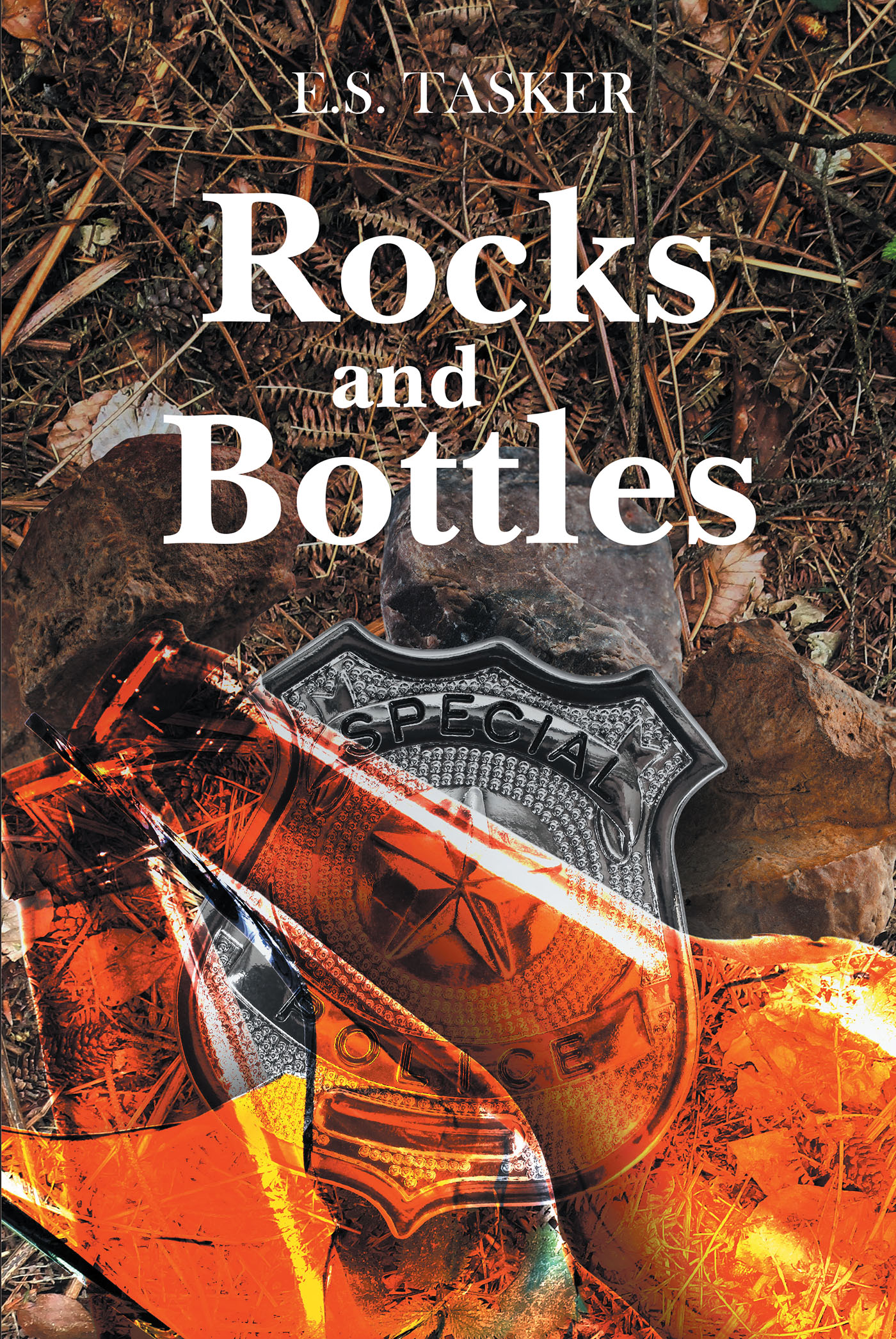Rocks and Bottles Cover Image