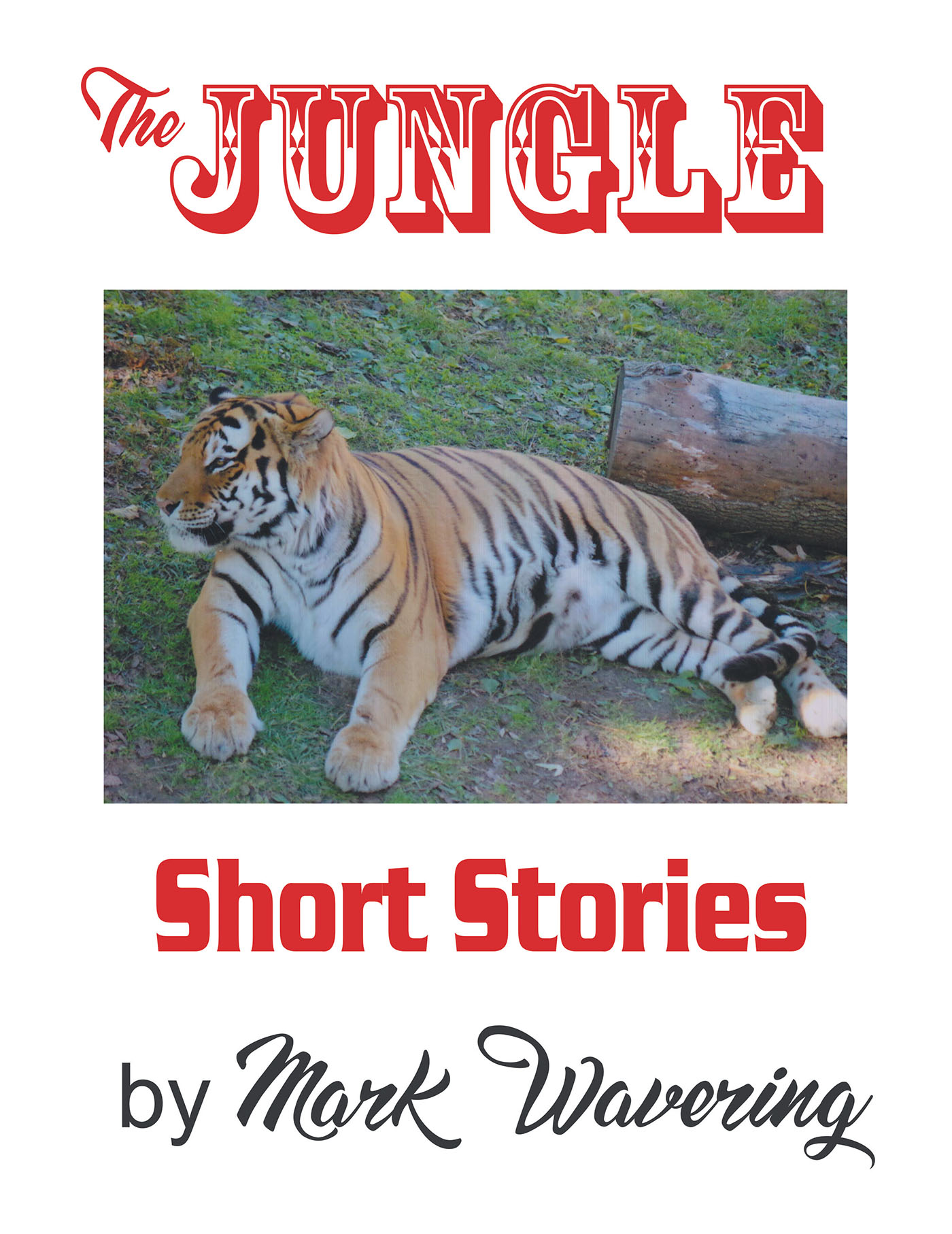 The Jungle Cover Image