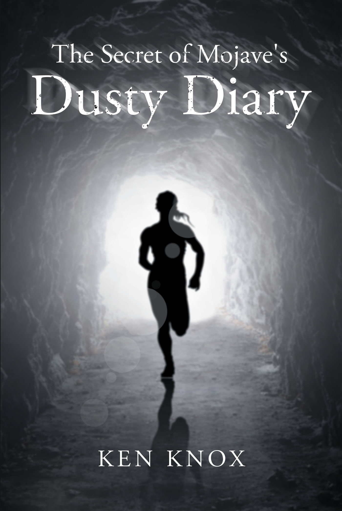 The Secret of Mojave's Dusty Diary Cover Image