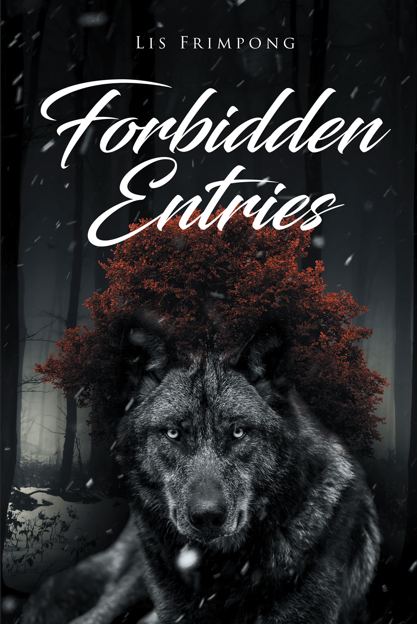 Forbidden Entries Cover Image