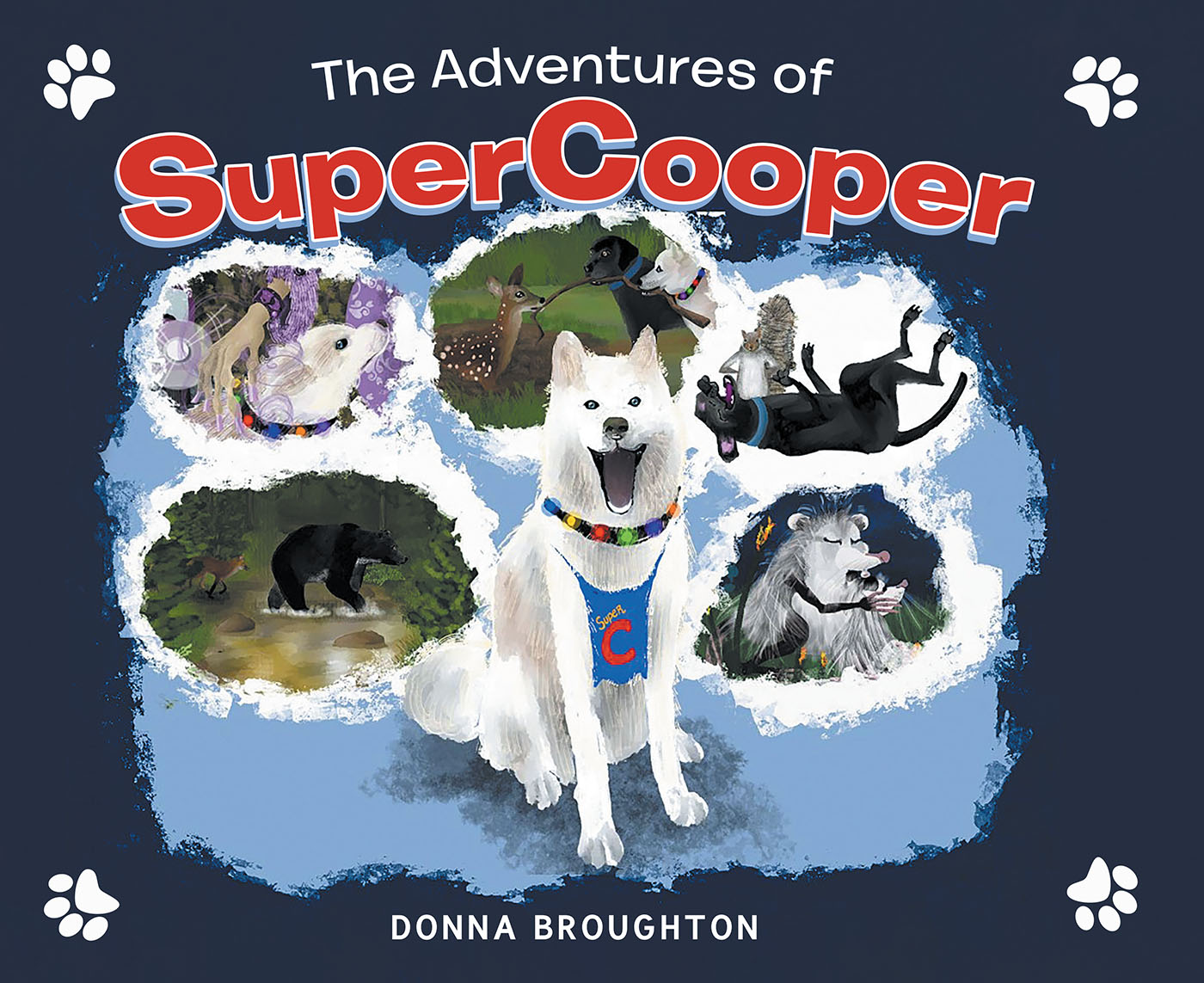 The Adventures of SuperCooper Cover Image