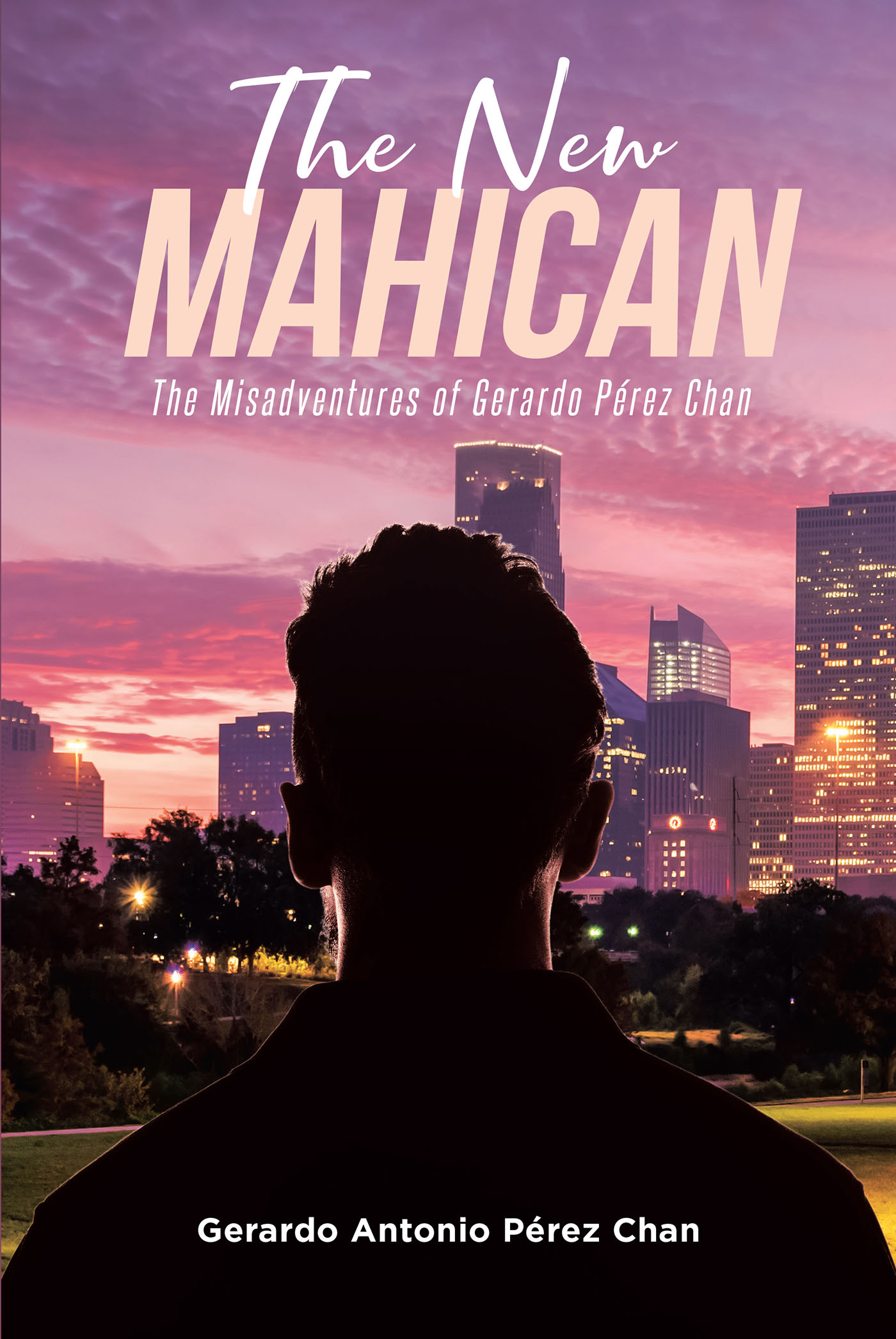 The New Mahican Cover Image