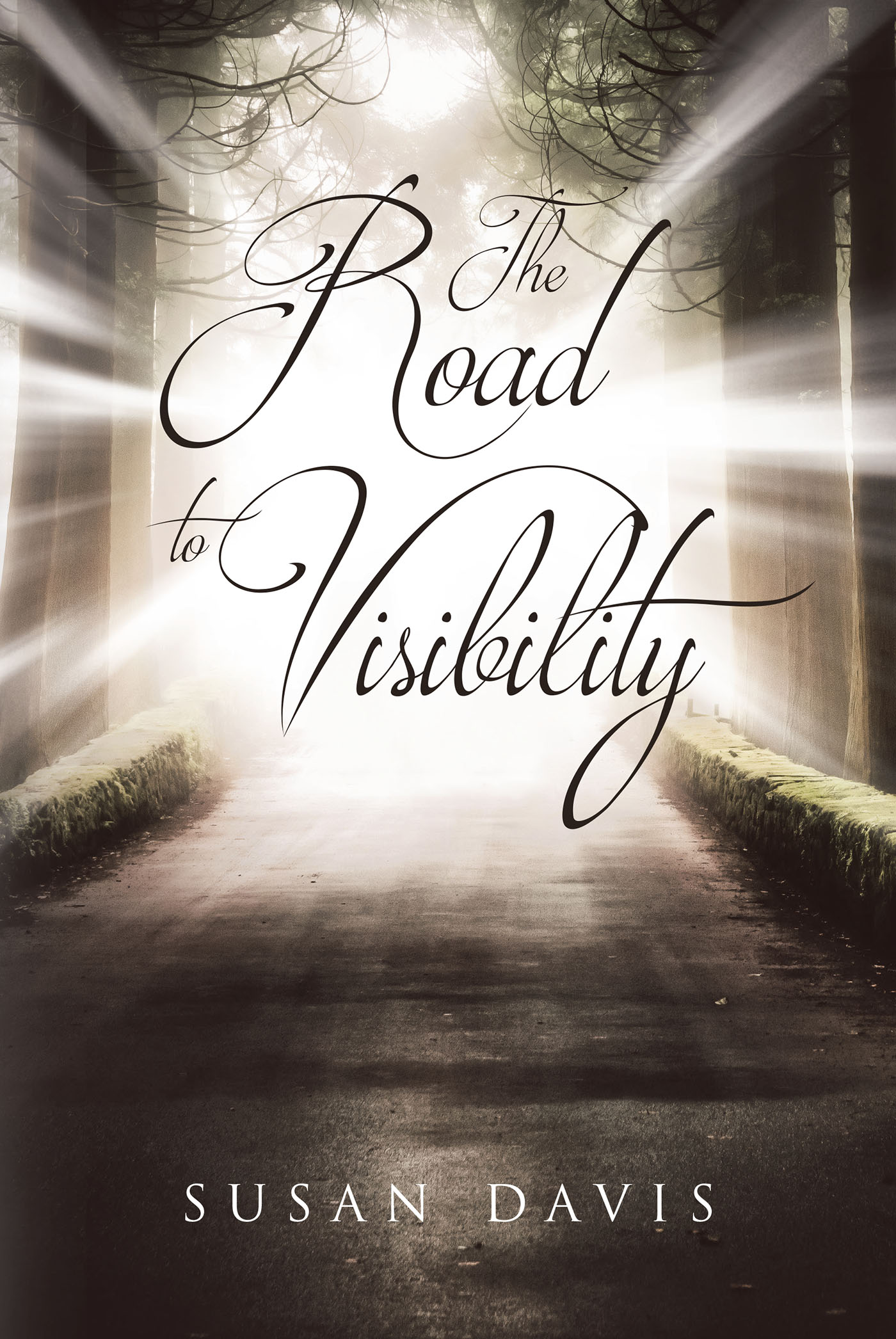 The Road to Visibility Cover Image