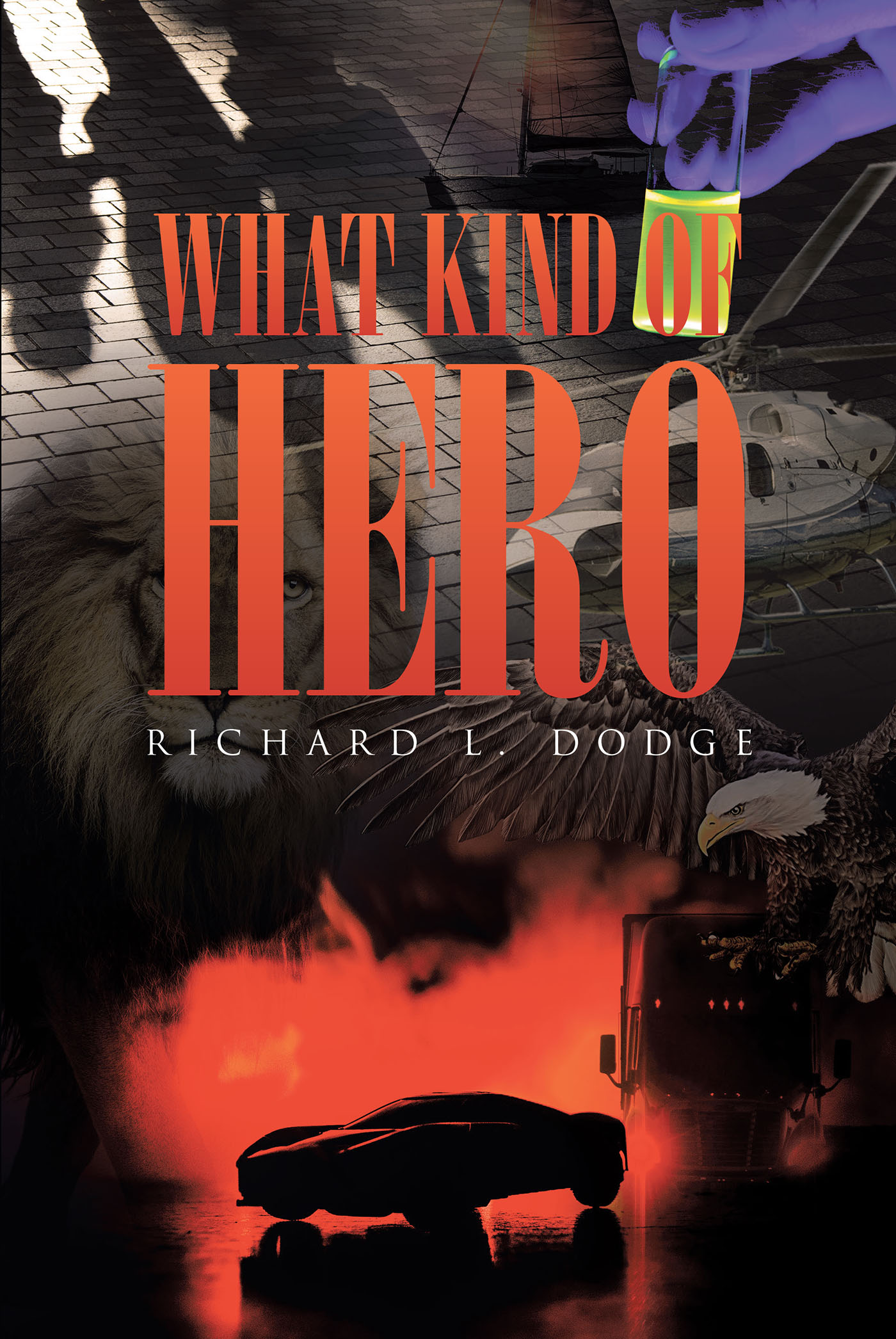 What Kind of Hero Cover Image