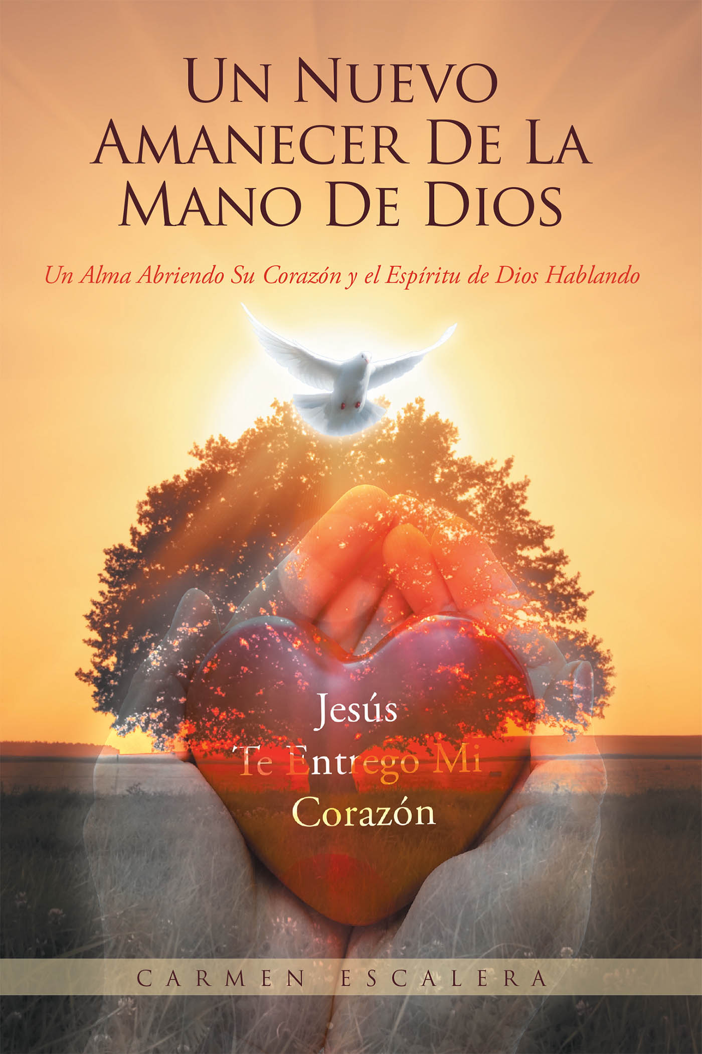 Un Nuevo Amanecer De La Mano De Dios Cover Image