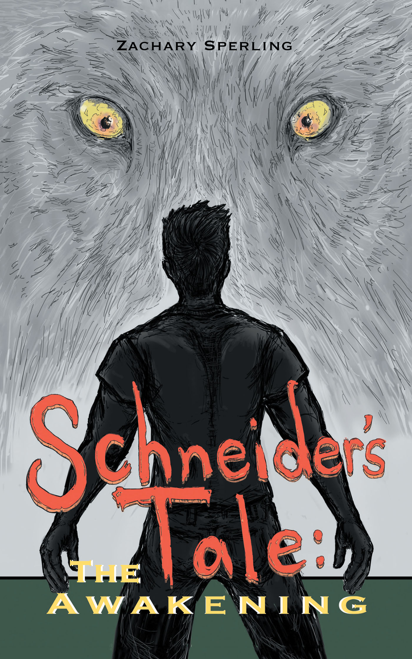 Schneider's Tale Cover Image