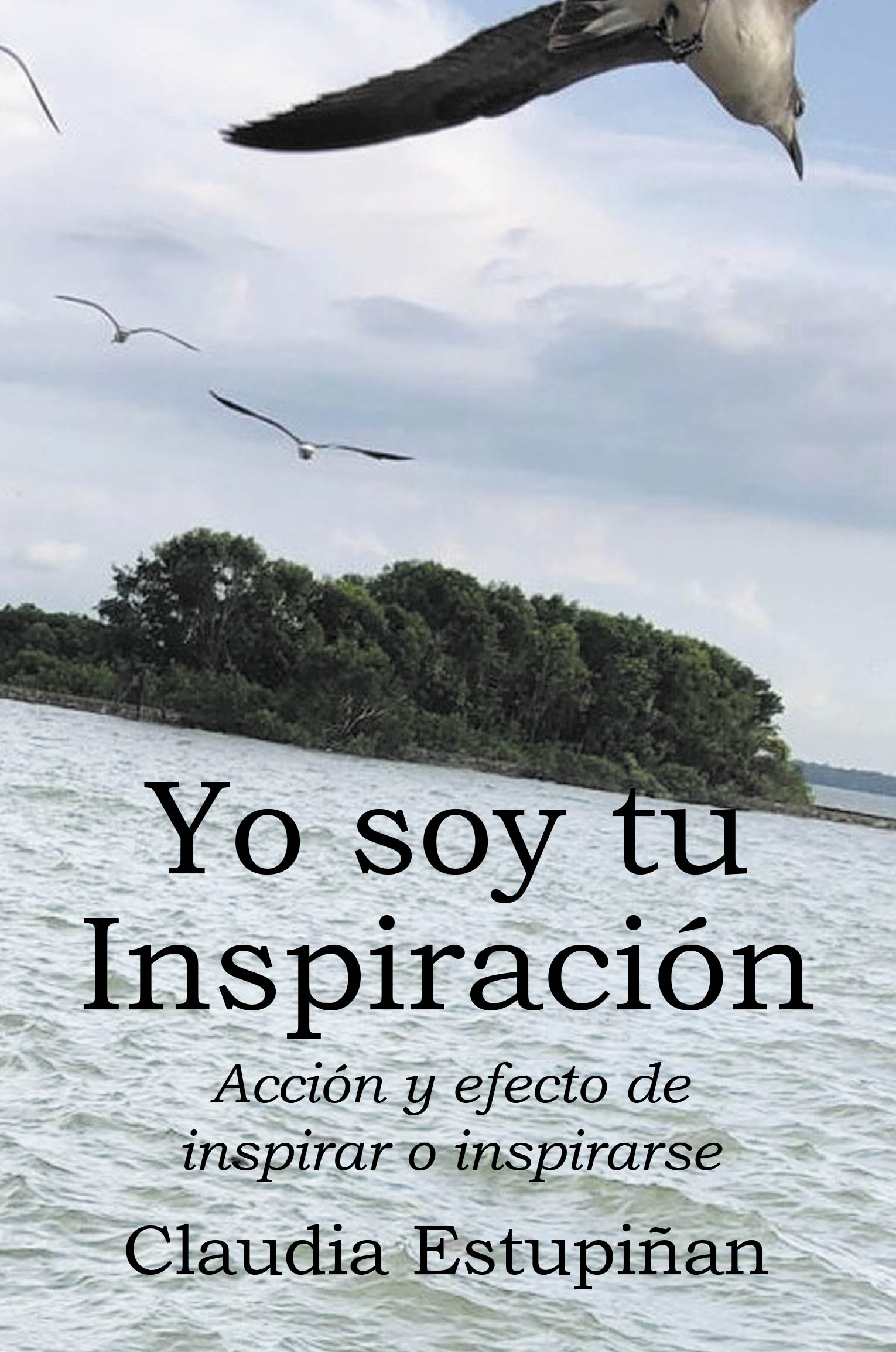 Yo soy tu Inspiración Cover Image