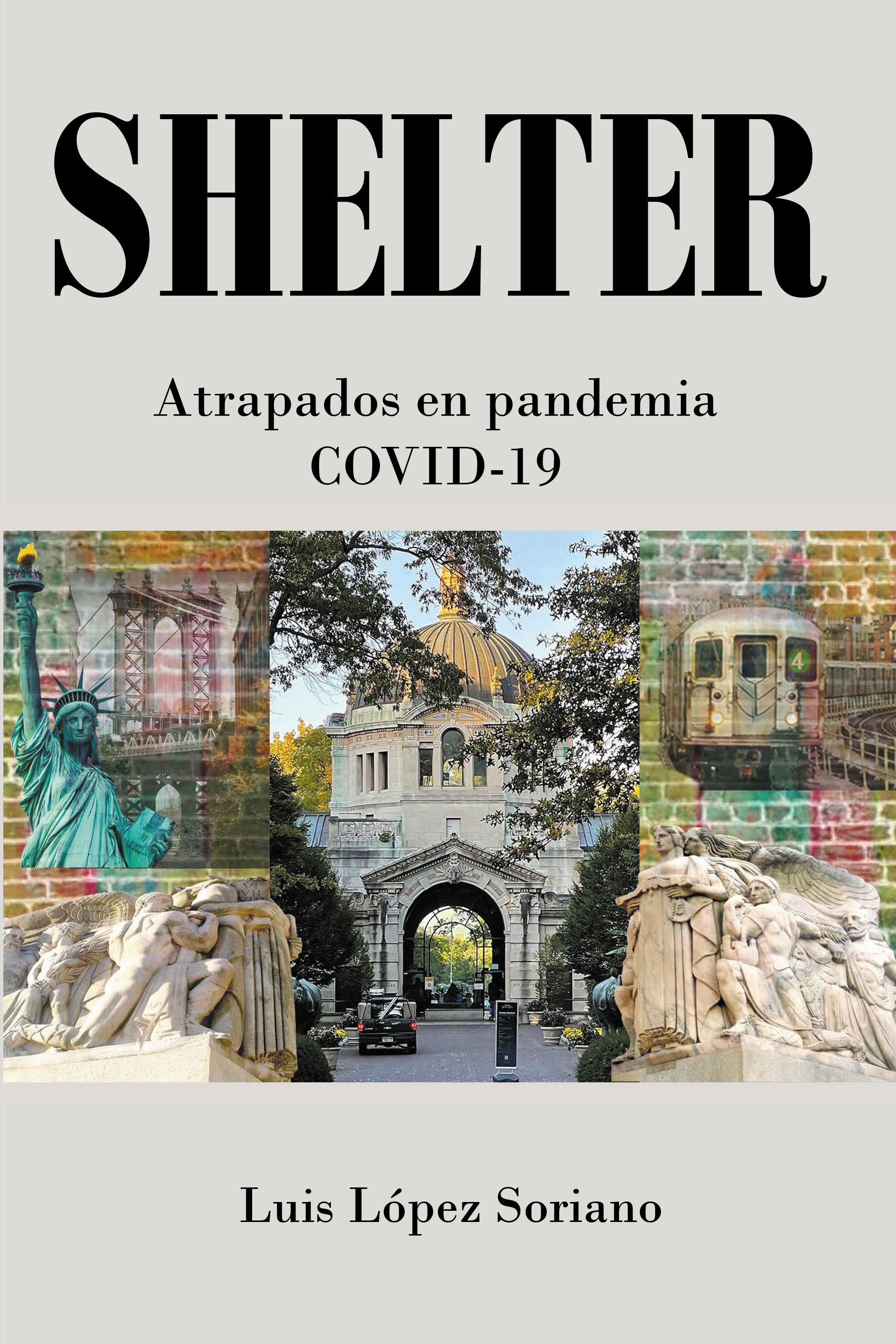 Shelter   Cover Image