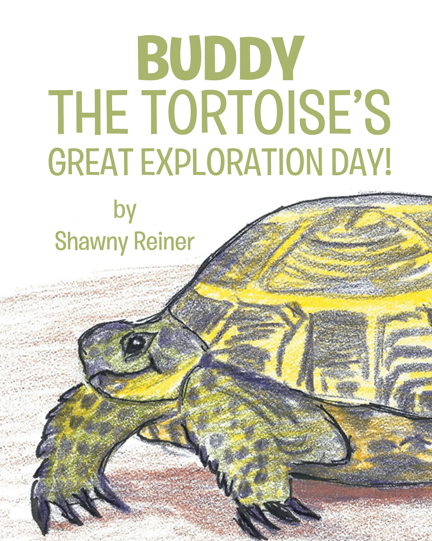 Buddy the Tortoise's Great Exploration Day! Cover Image