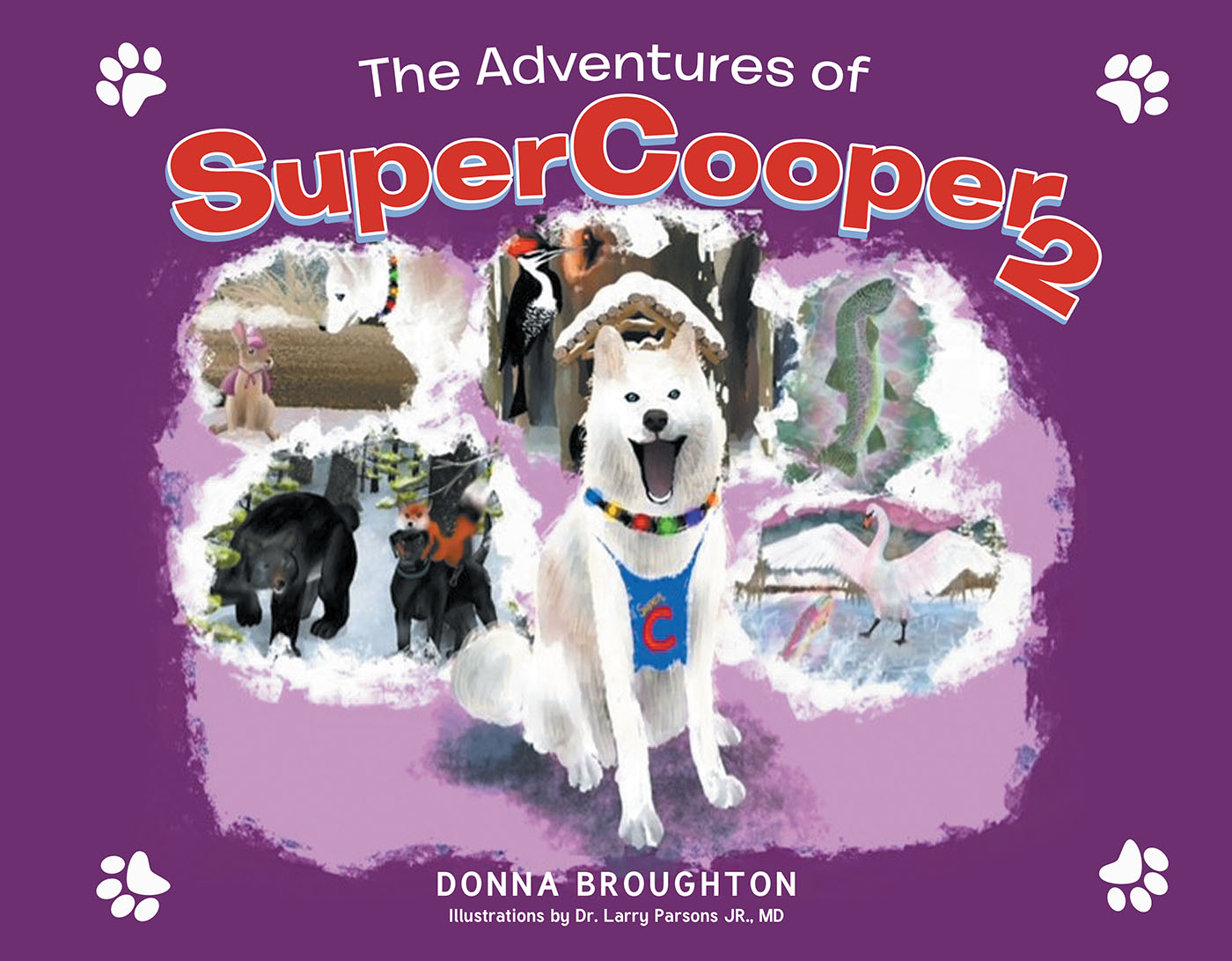 The Adventures of SuperCooper 2 Cover Image