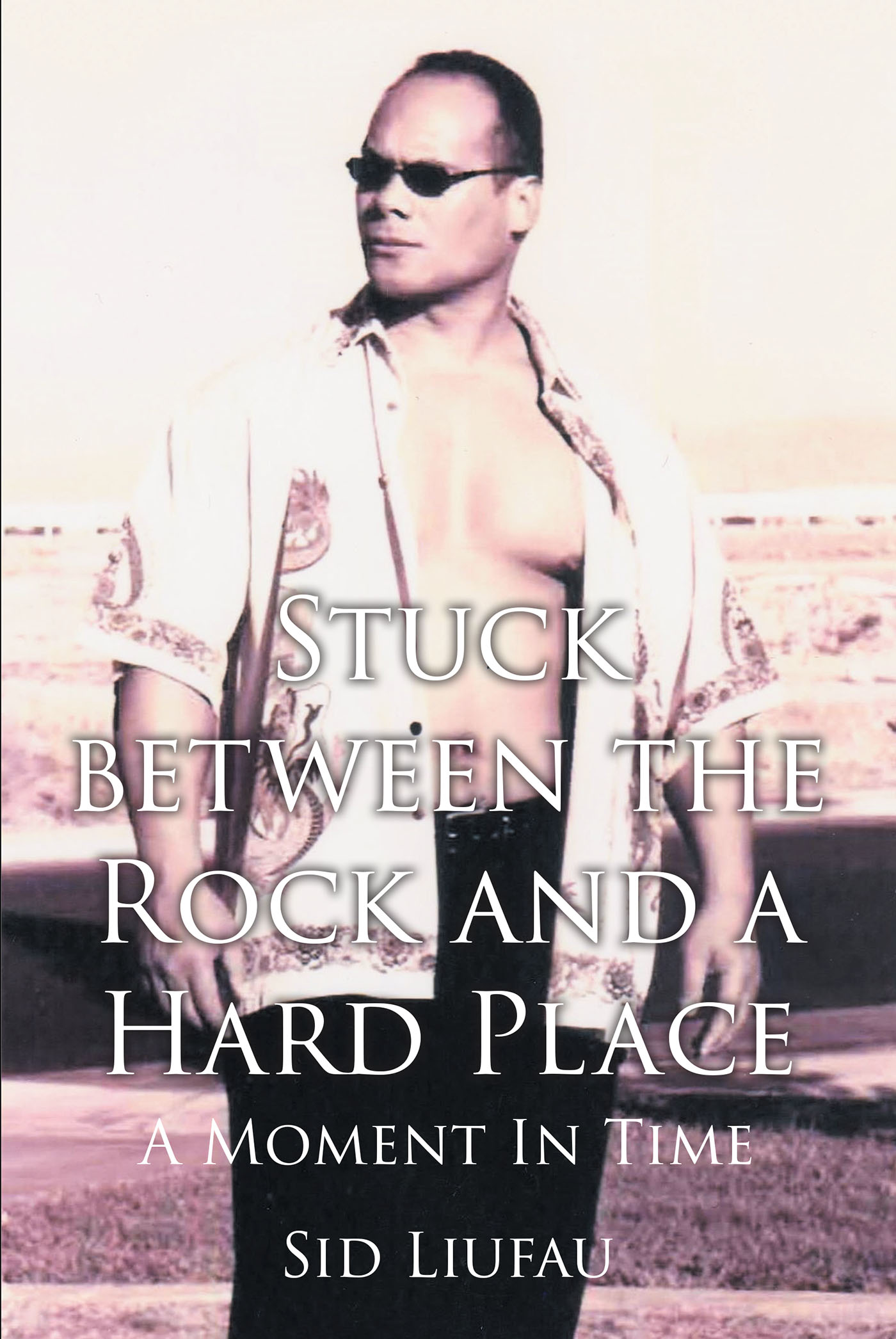 Stuck between the Rock and a Hard Place Cover Image