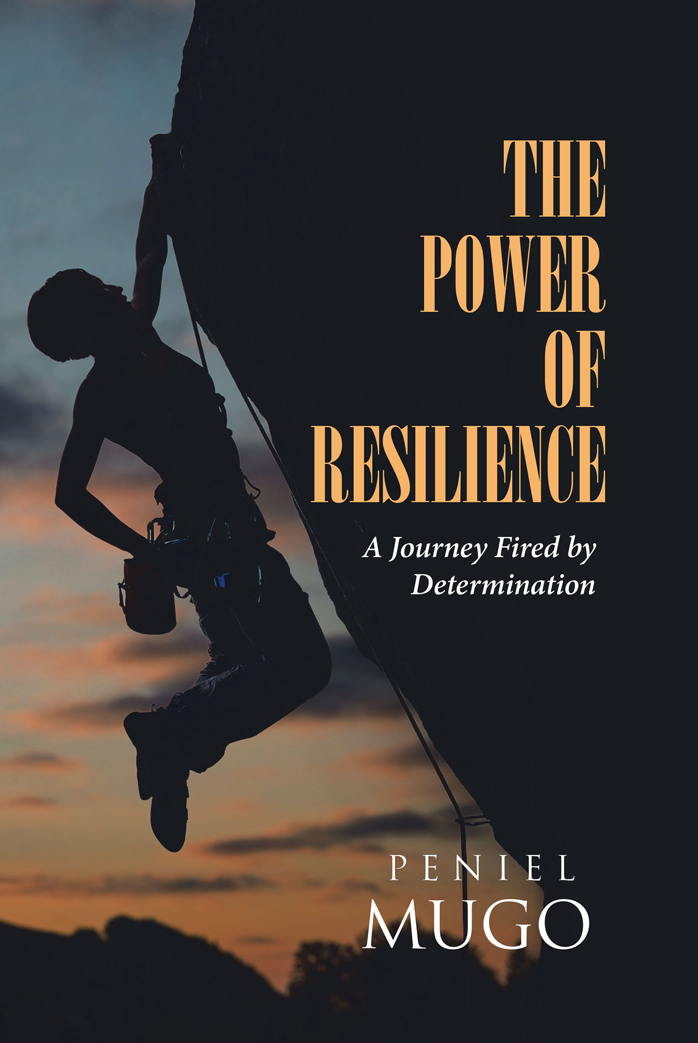 The Power of Resilience Cover Image