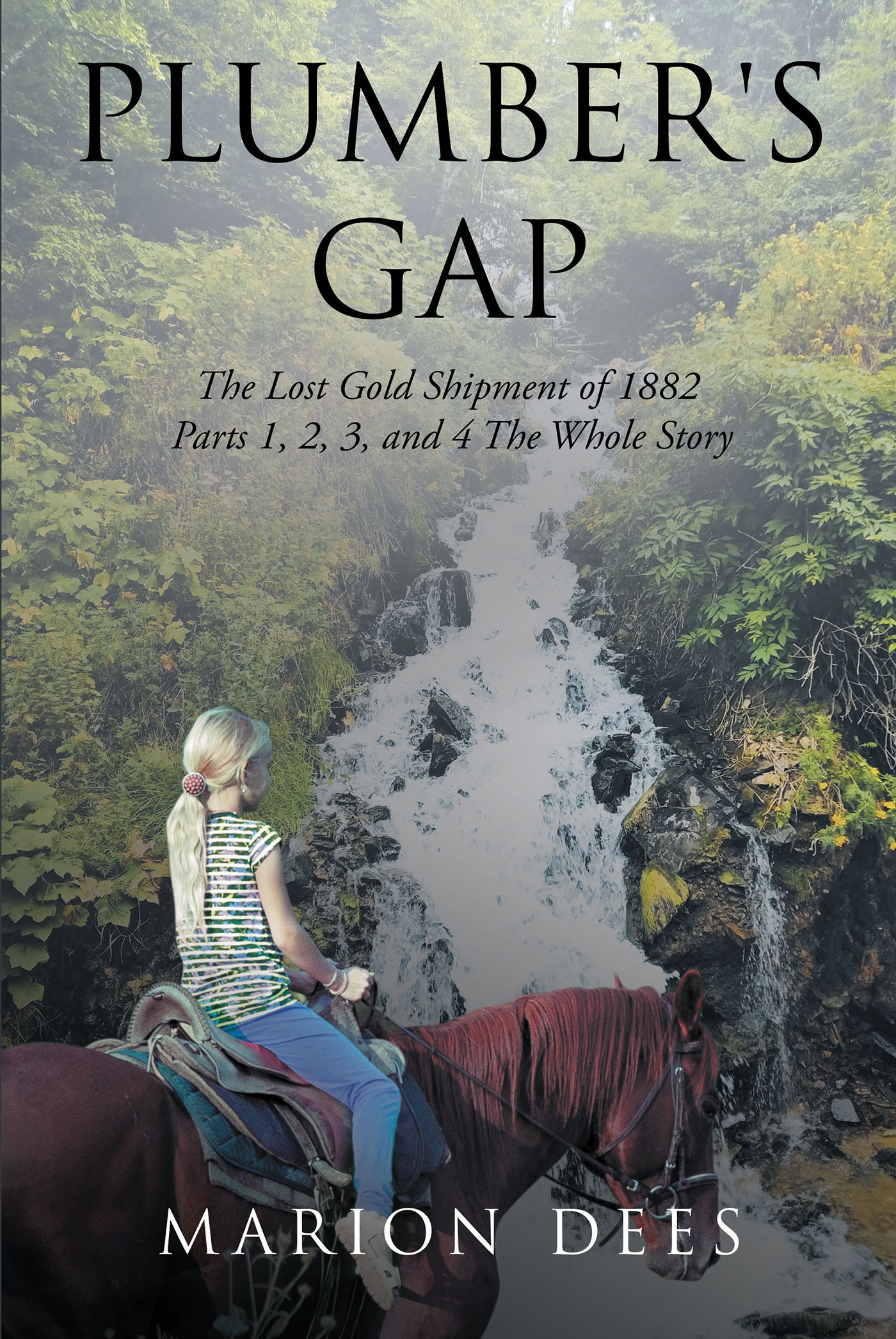Plumber's Gap Cover Image