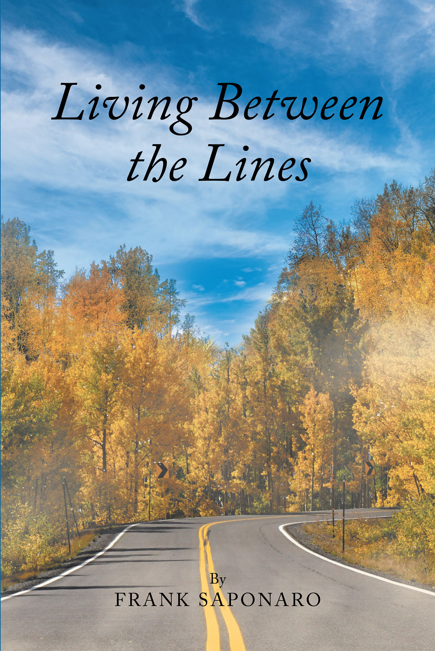 Living Between the Lines Cover Image