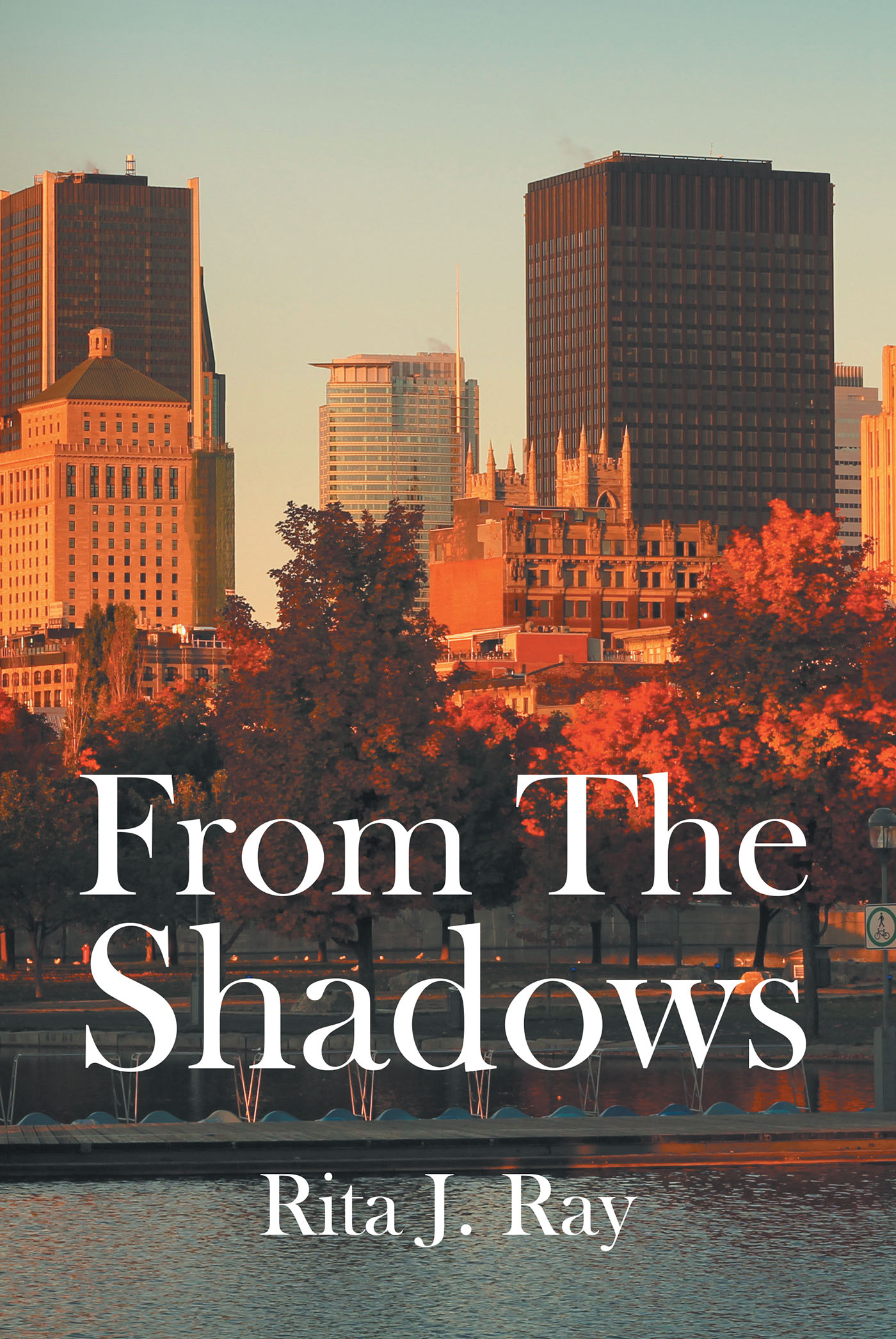 From The Shadows Cover Image