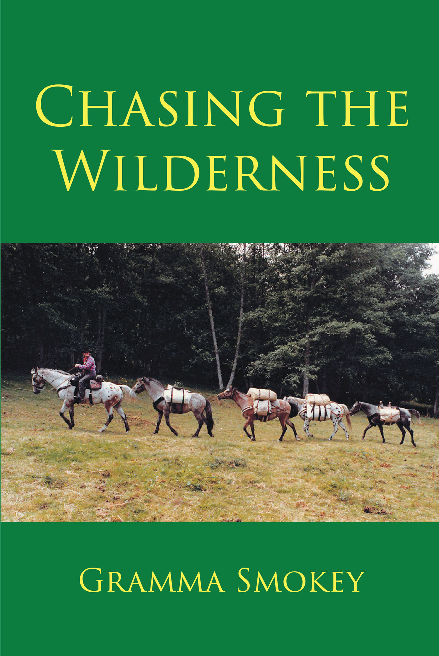 Chasing the Wilderness Cover Image