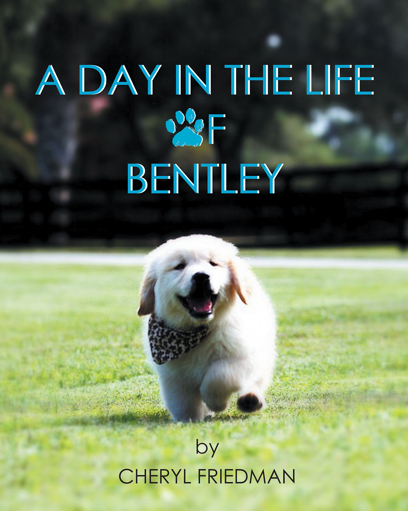 A Day in the Life of Bentley Cover Image