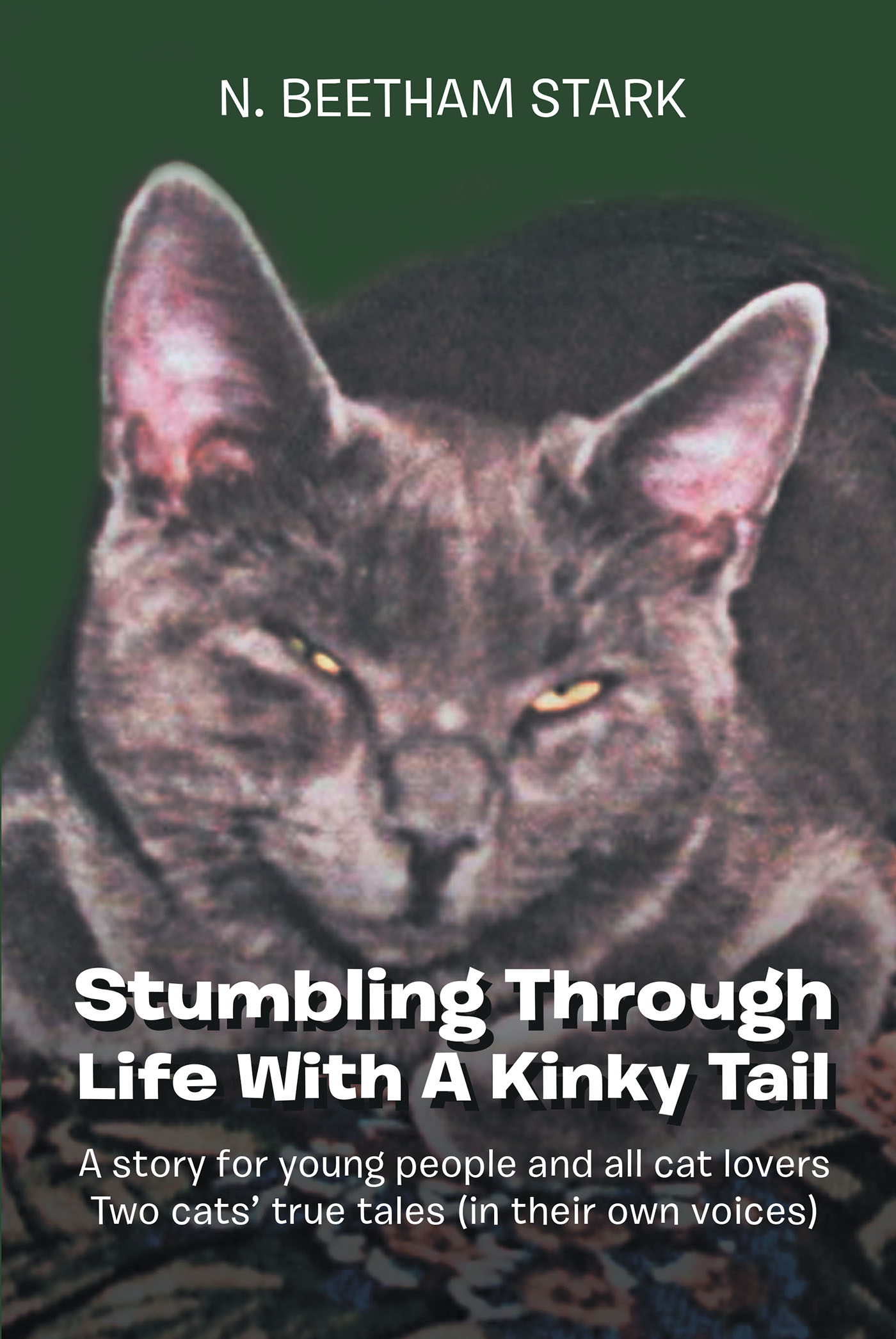 Stumbling Through Life With A Kinky Tail Cover Image